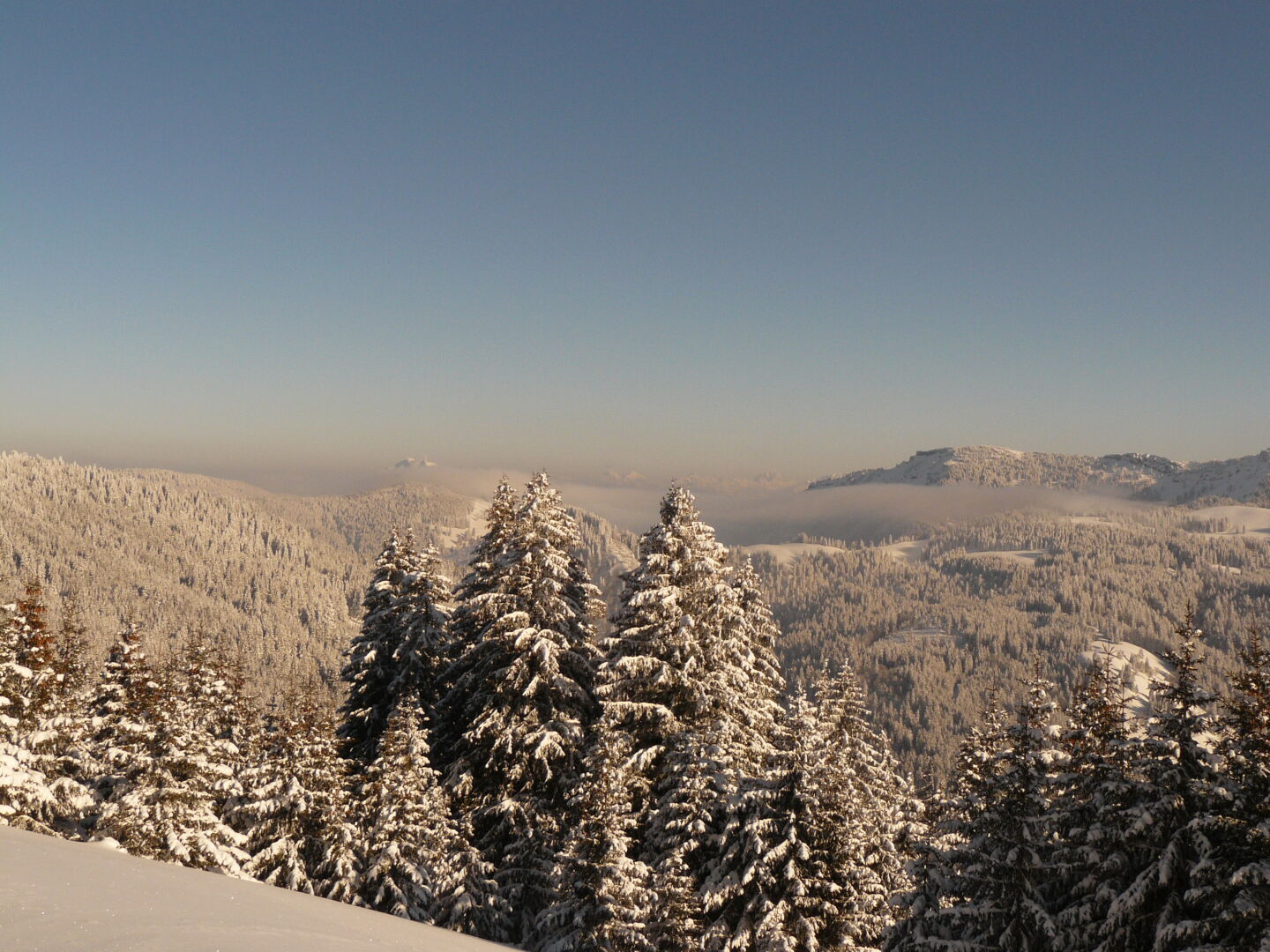 Ein letzter Blick auf den Grünten (?) in der Abendsonne.