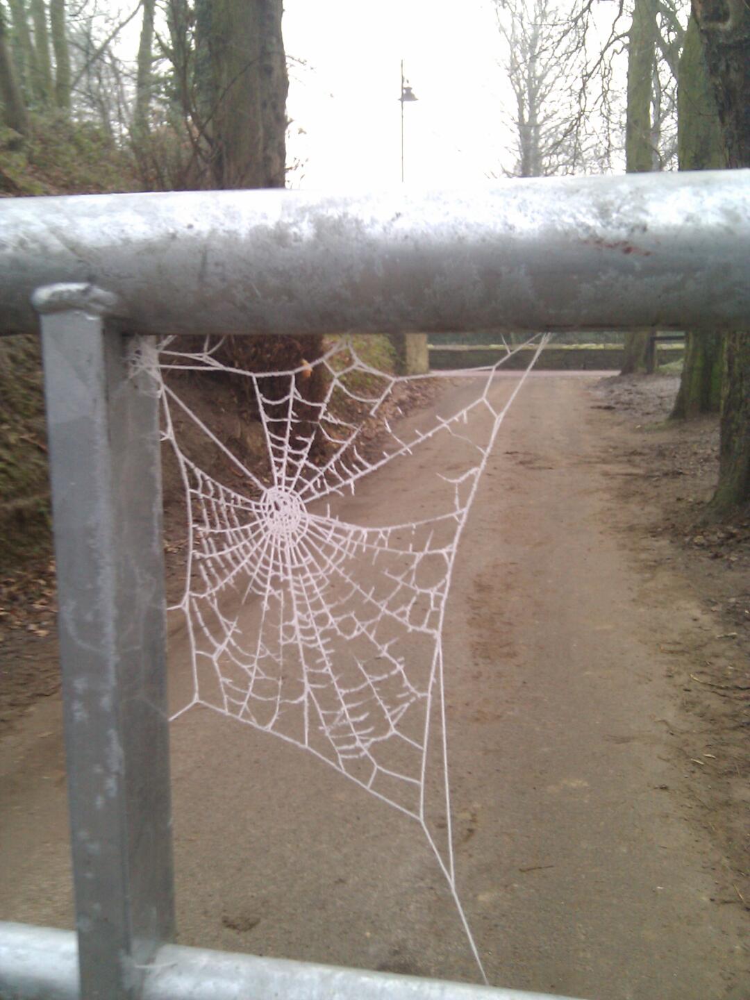 Und einen Tag später ist es frostig kalt...
