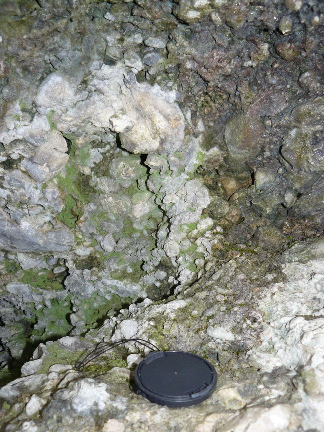 Molasse in der Maisacher Schlucht. Als Molasse werden Ablagerungen von Sedimenten durch Flüsse bezeichnet, die aus verschieden großen Steinchen bis hin zu Sand bestehen. Das ganze klebt aufgrund des hohen Kalkgehaltes zusammen.