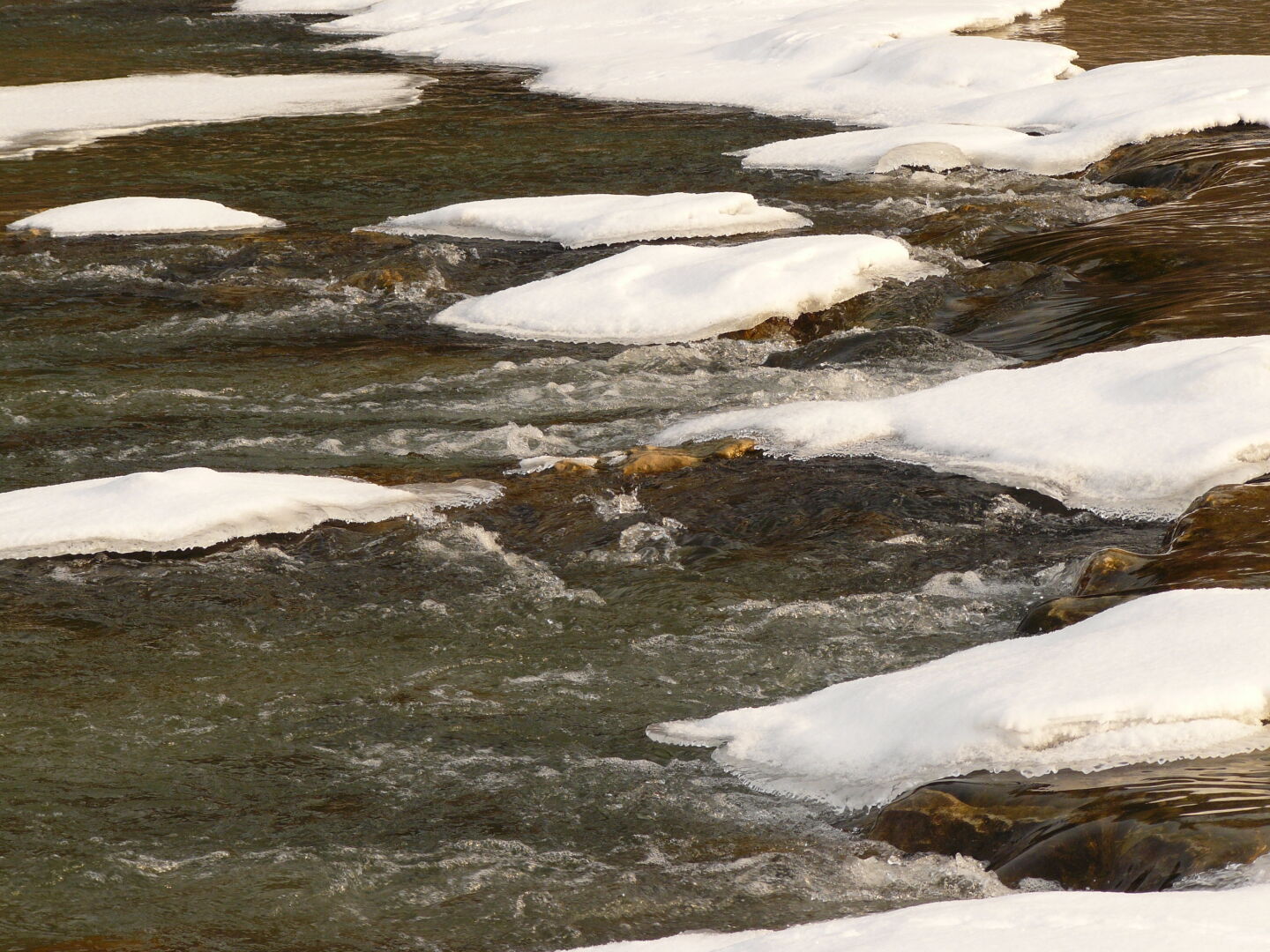 Winterspaziergang an der Isar. Feburar 2012.