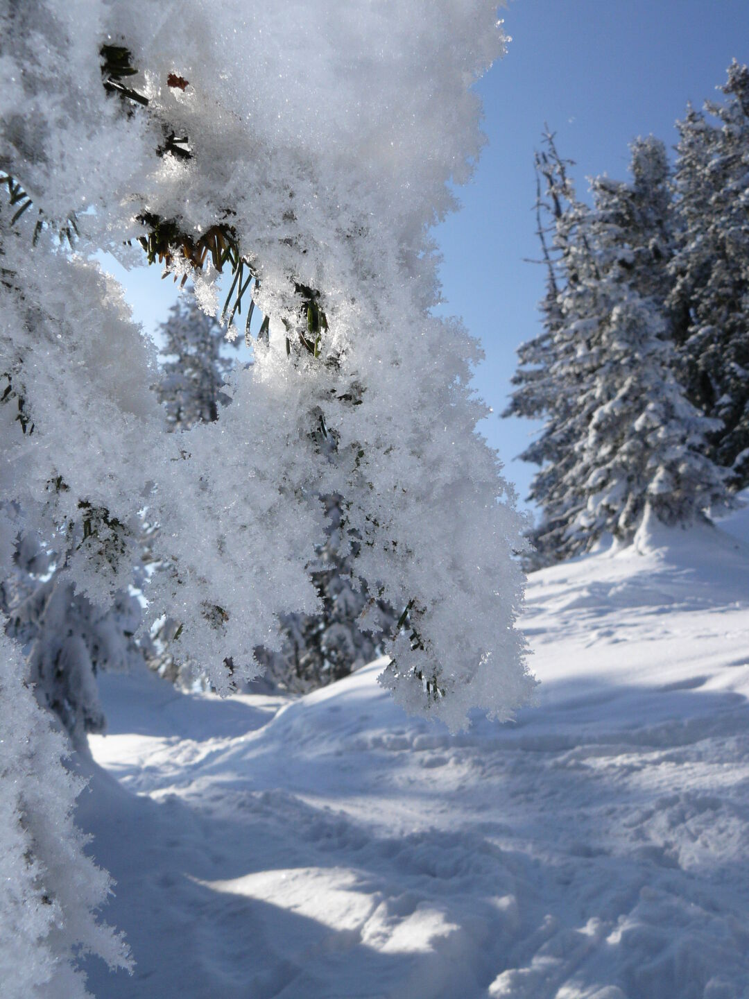 Schneeschuhwandern am Spitzingsee. Februar 2012.