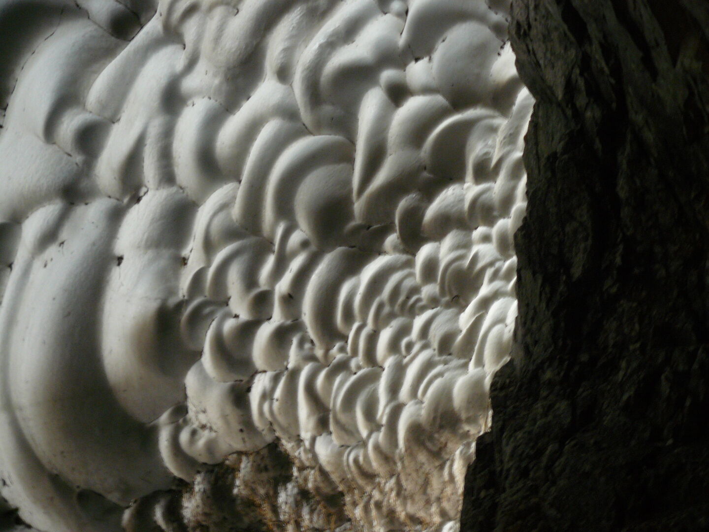 Eis gibt&rsquo;s auch noch.