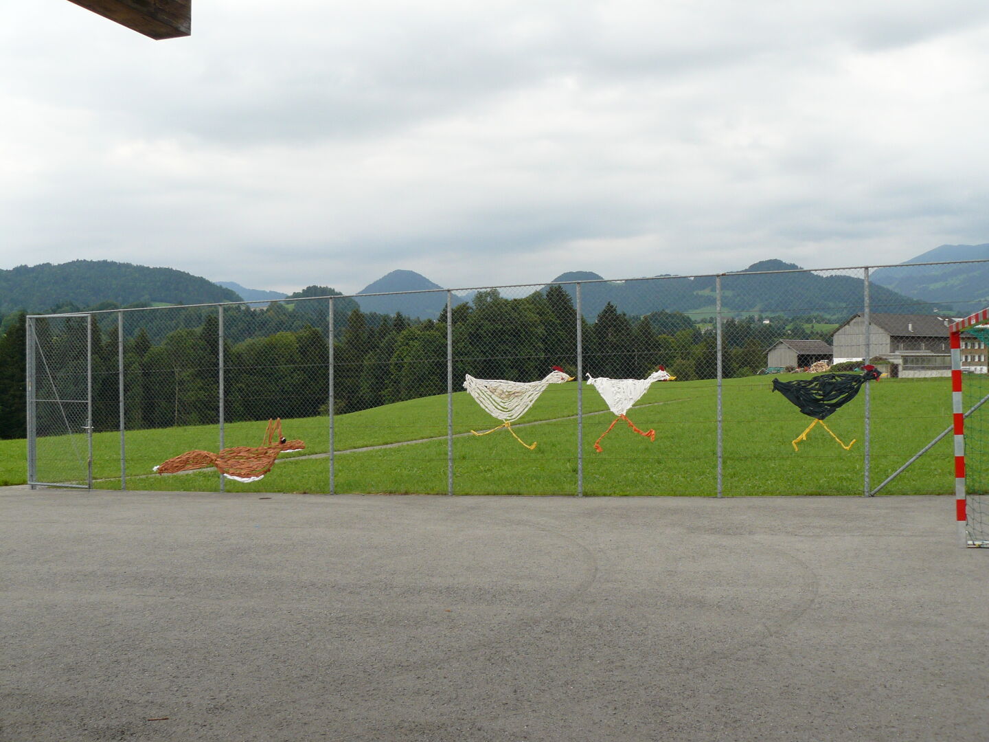 Fox hunting chicken on a schoolyard.