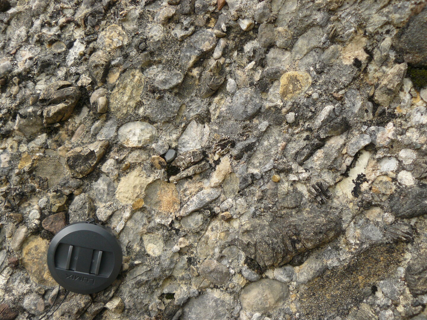 Typical stone formation of the area: a conglomerate called "Nagelfluh".
