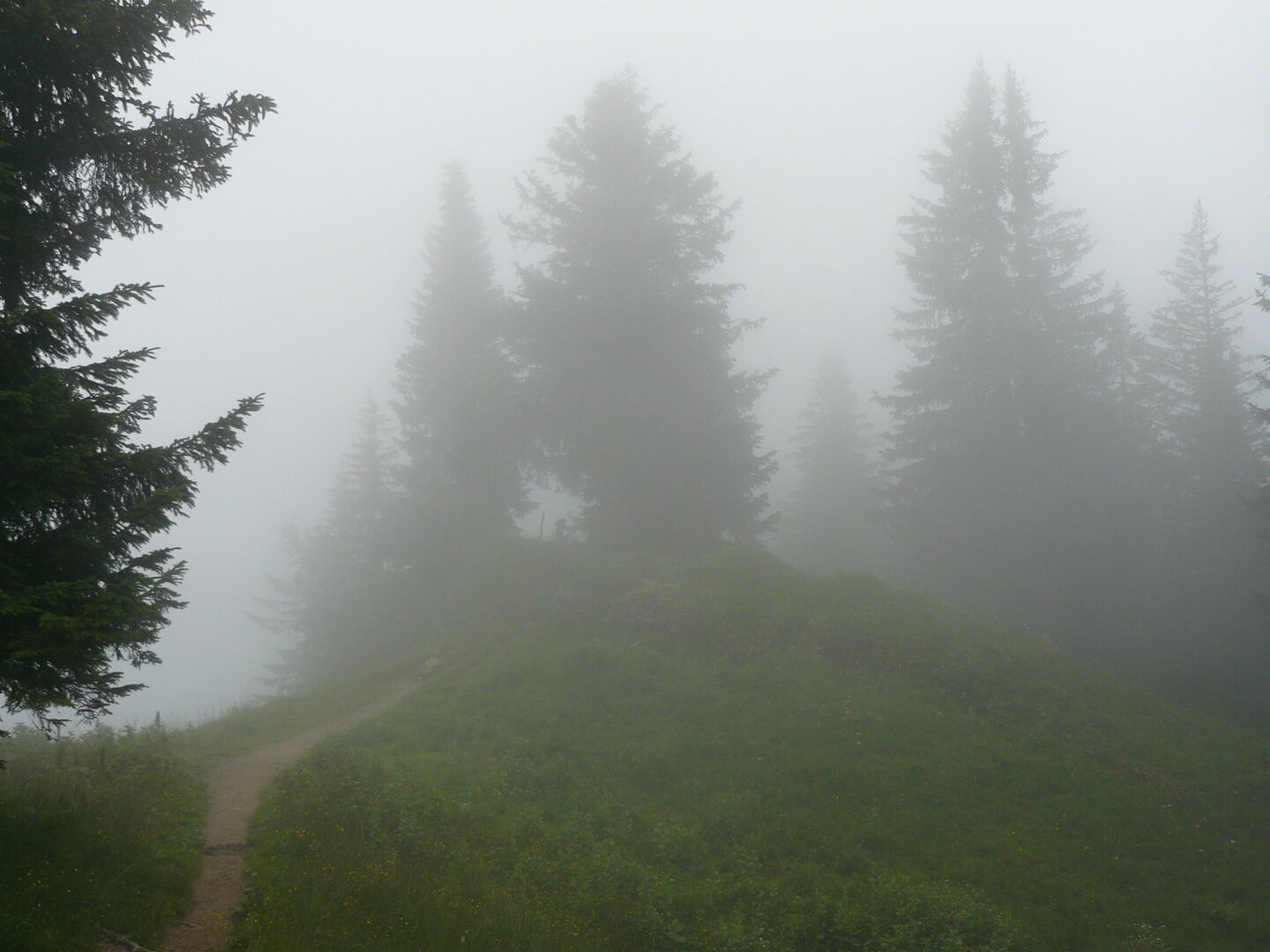 And that&rsquo;s good, because you can&rsquo;t see anything that&rsquo;s not close to the path.