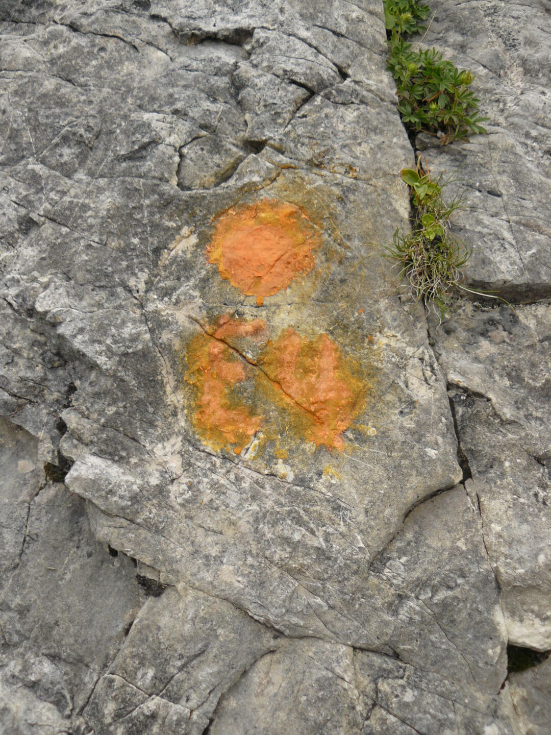 One of the more obvious waymarks for the long distance hiking trail "E4", The Maximiliansweg.