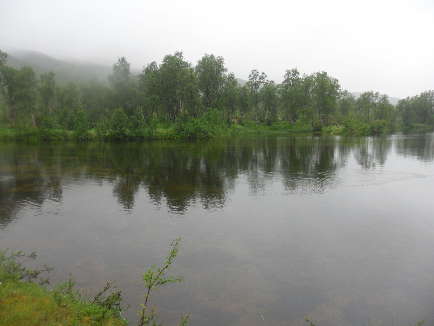 Hier sind wir durchgewatet! Foto (c) Anja Bleidorn.