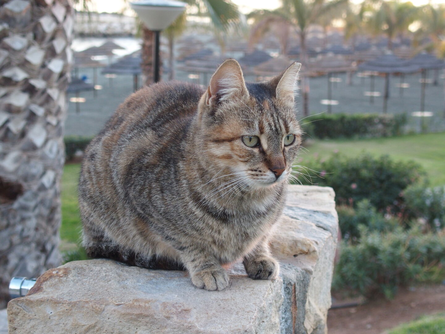 ...if you don&rsquo;t mind being watched.