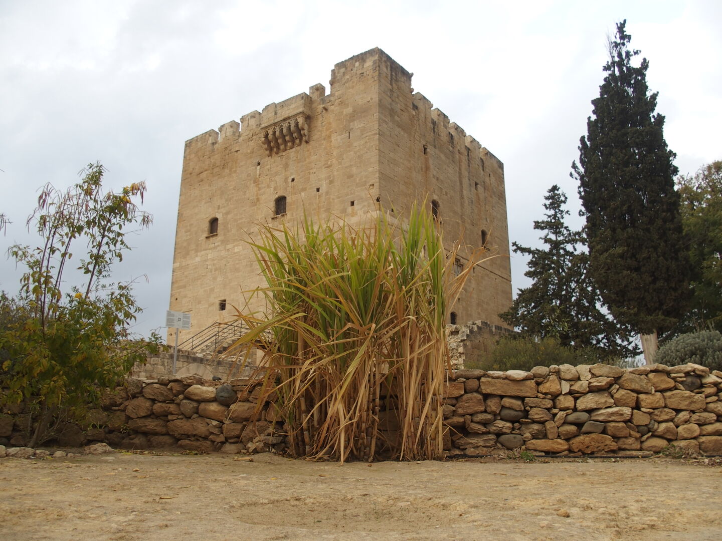 The castle Kolossi was the main command center of the rulers of Cyprus for many centuries. It controlled a valley of lush vegetation, including sugar cane, as seen here. The name "Commandaria" of the famous cypriot sherry wine stems from here.