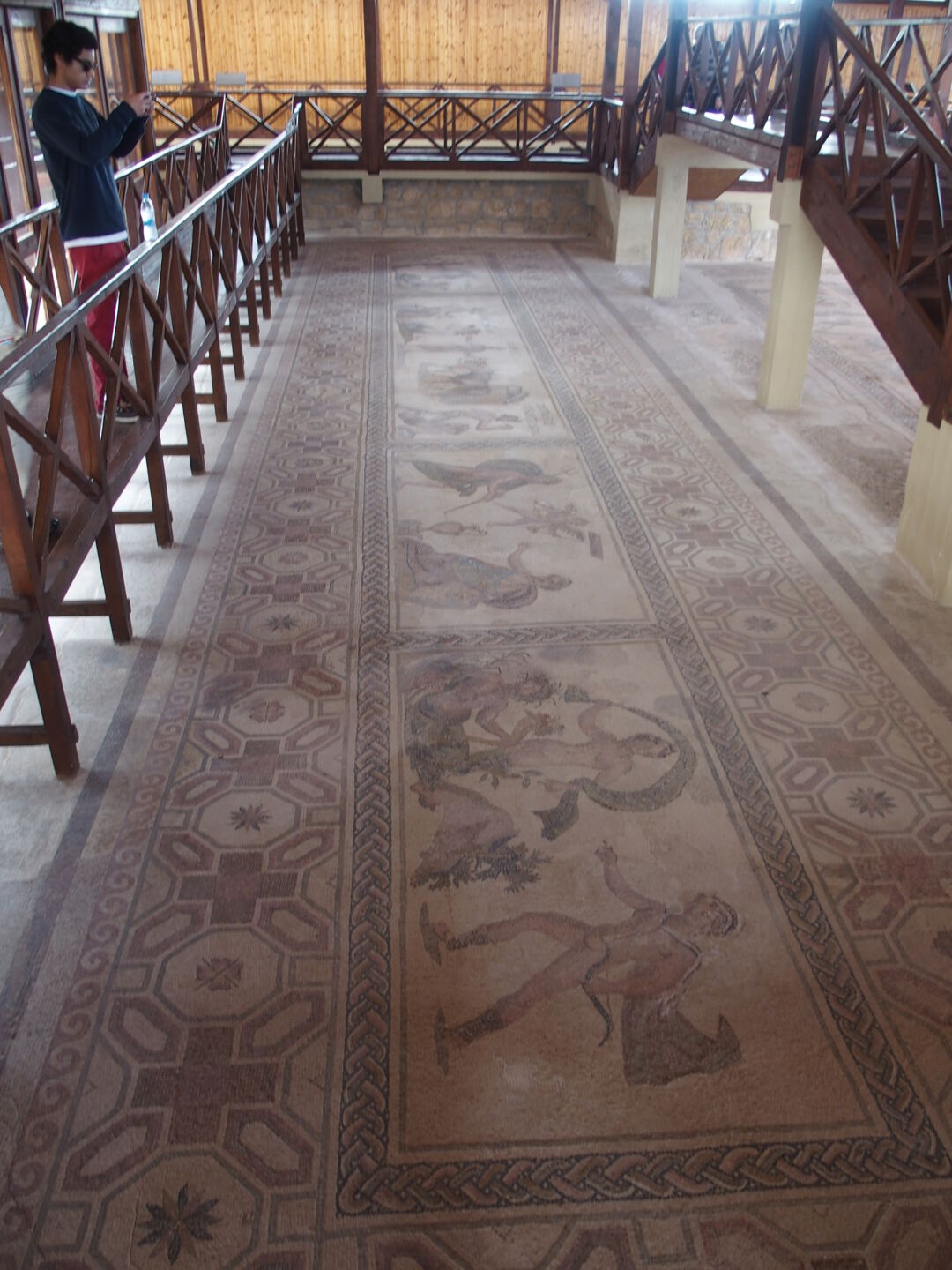 But there were enough left to look at.