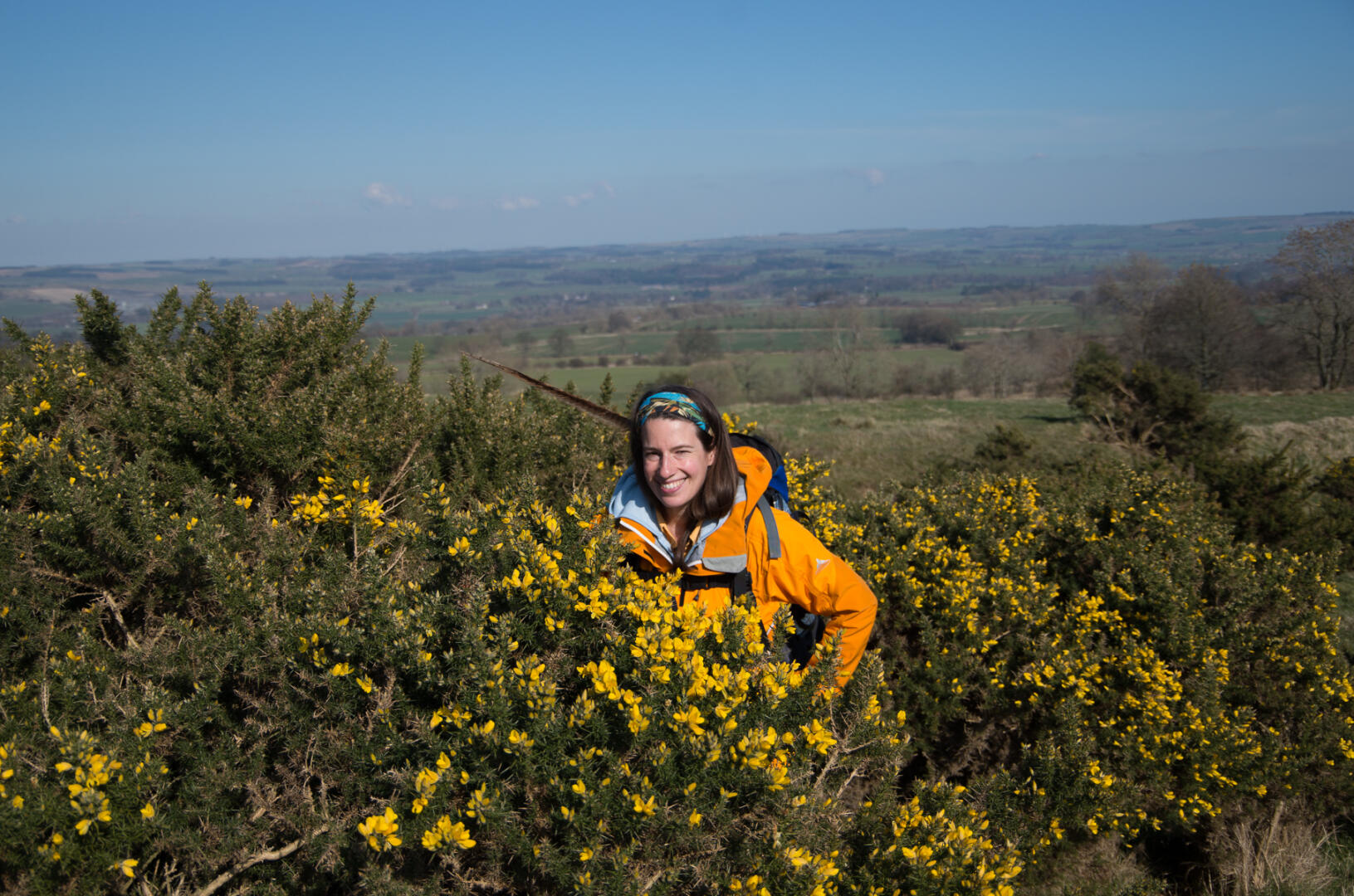 Camouflage for the barbarians? Photo (c) Gerhard Bocksch.