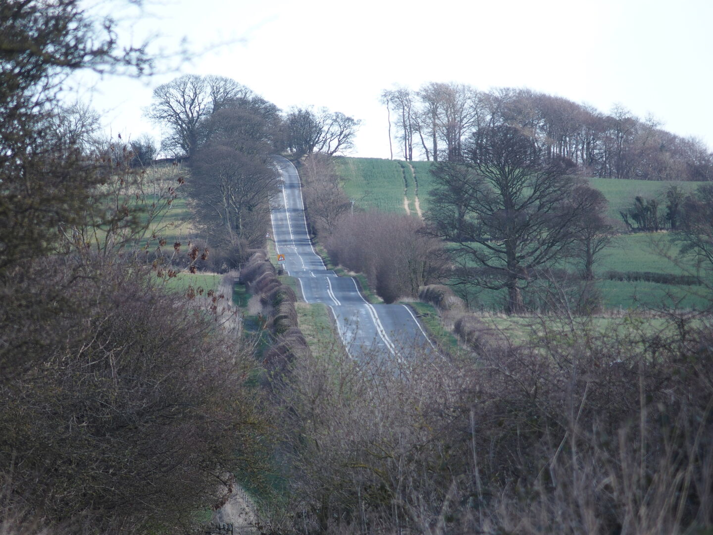 The military road. To the left of the road is the path.
