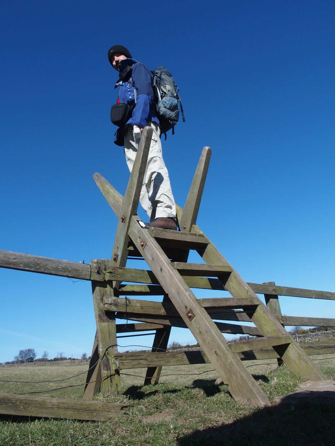 One of the many styles.