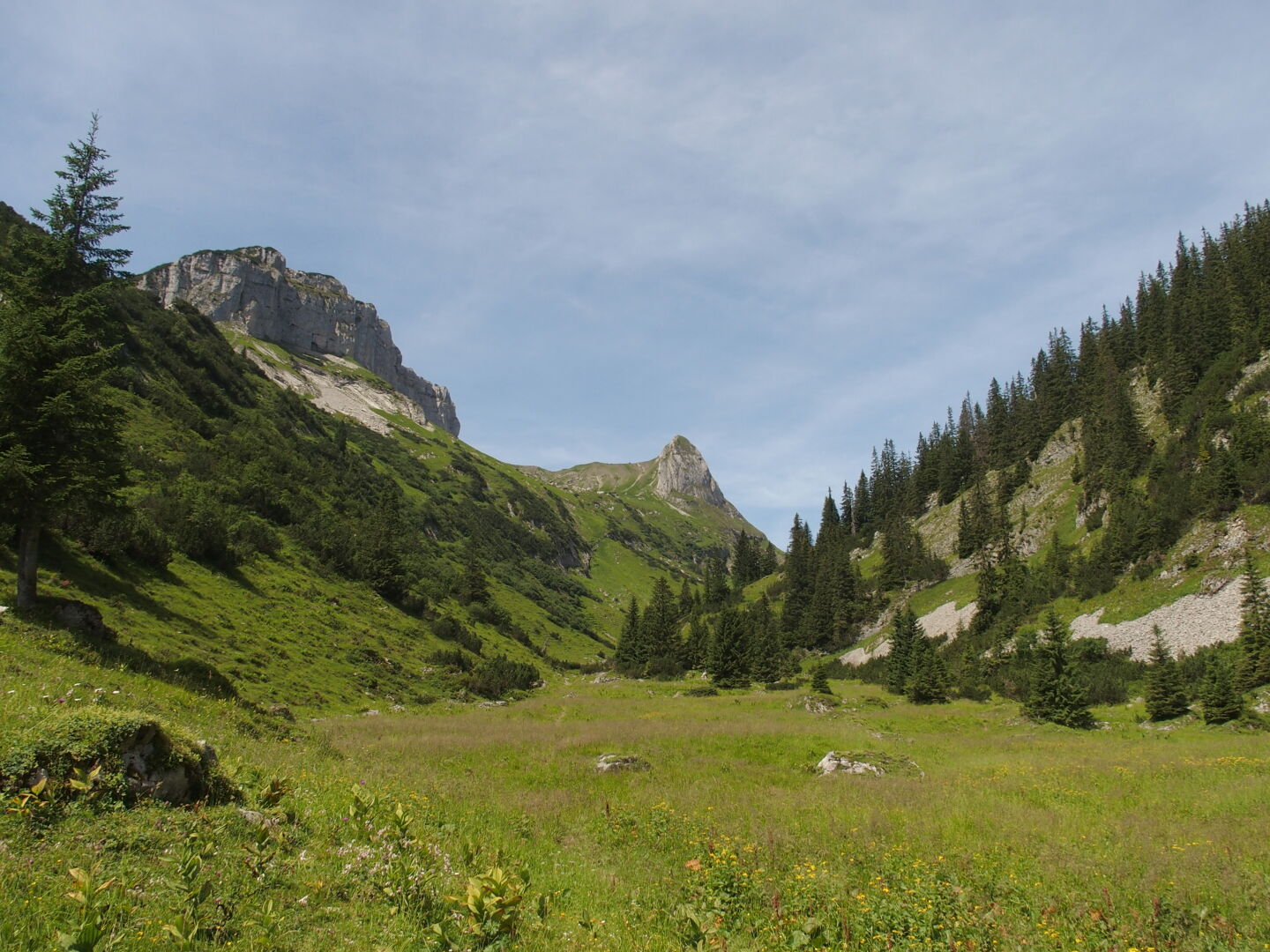 The Mahdtal leads us up to the Rosskopf.