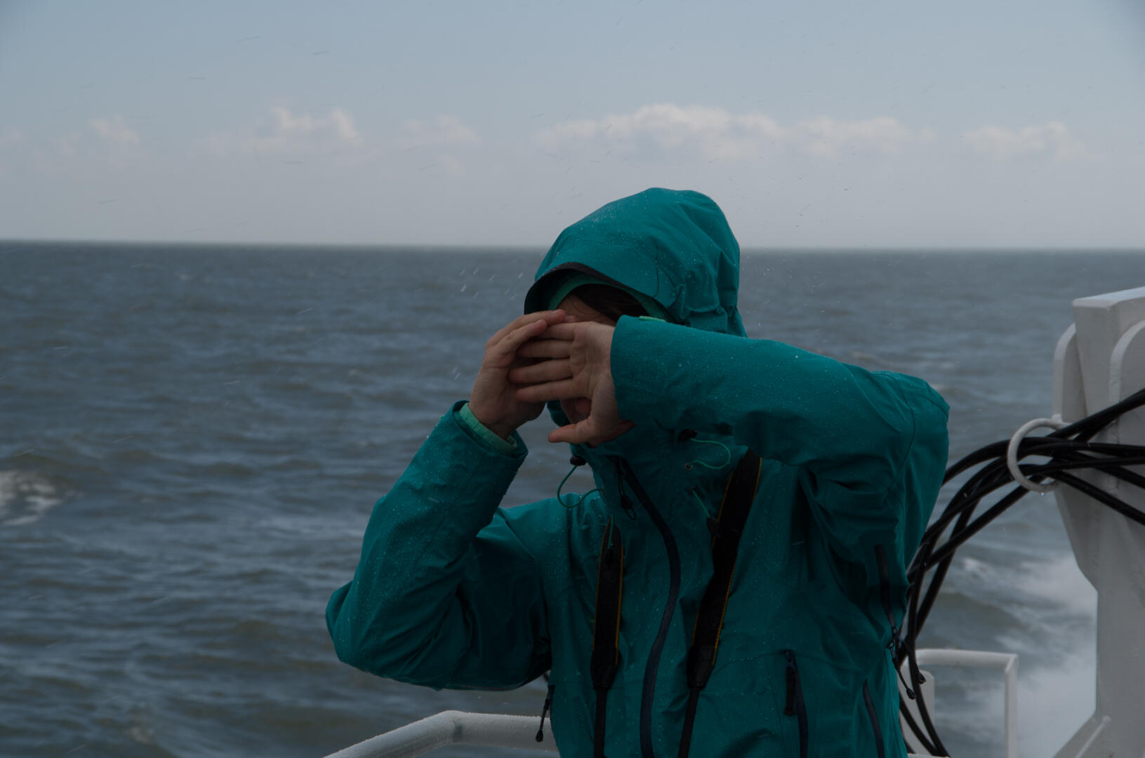 Spa&szlig; bei der &Uuml;berfahrt nach Helgoland. (c) Gerhard Bocksch.