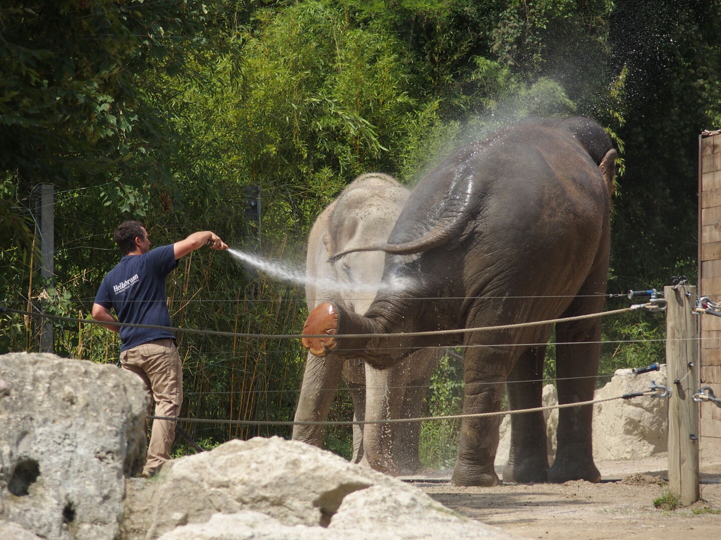 Bitte Fu&szlig; hoch zum Duschen!