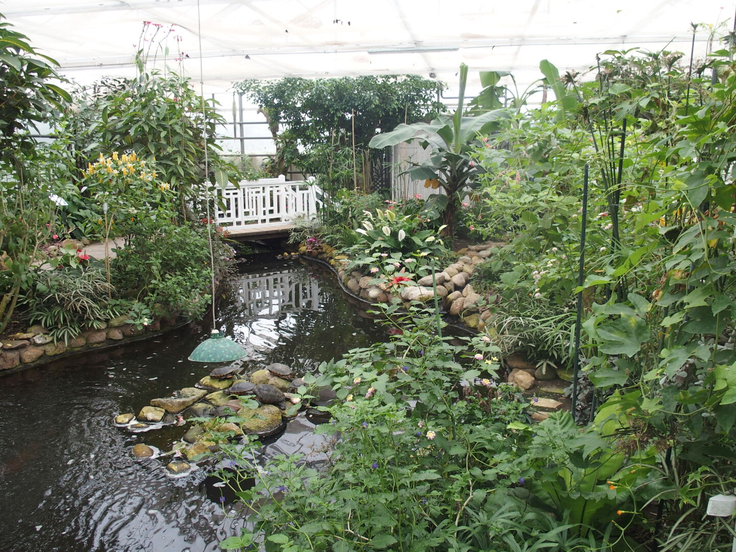 Im Garten der Schmetterlinge in Friedrichsruh.