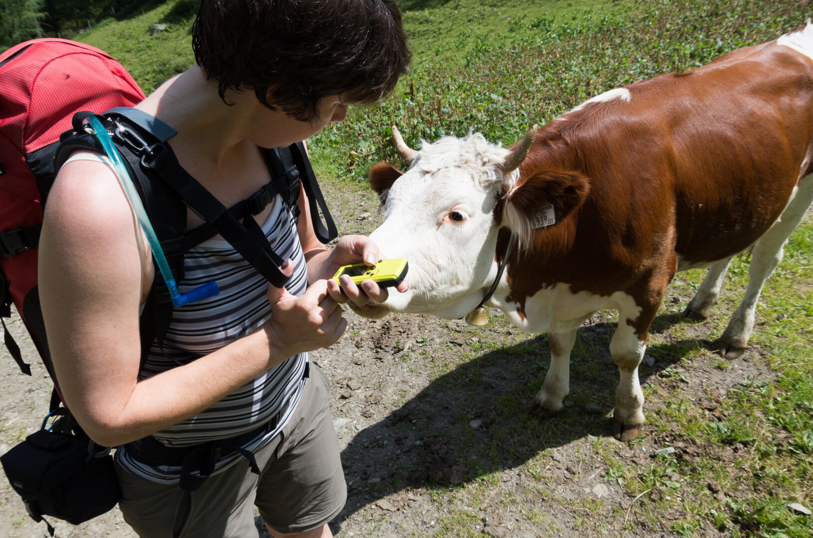 Wer ist hier am Ende der Nahrungskette?