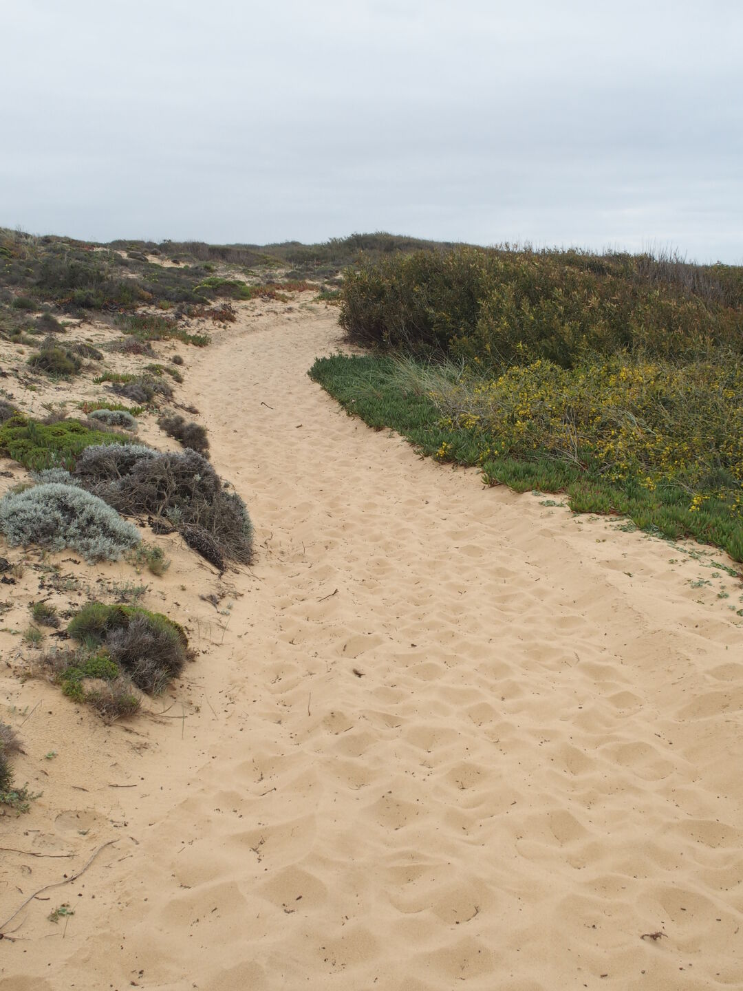 Kamel müsste man sein.