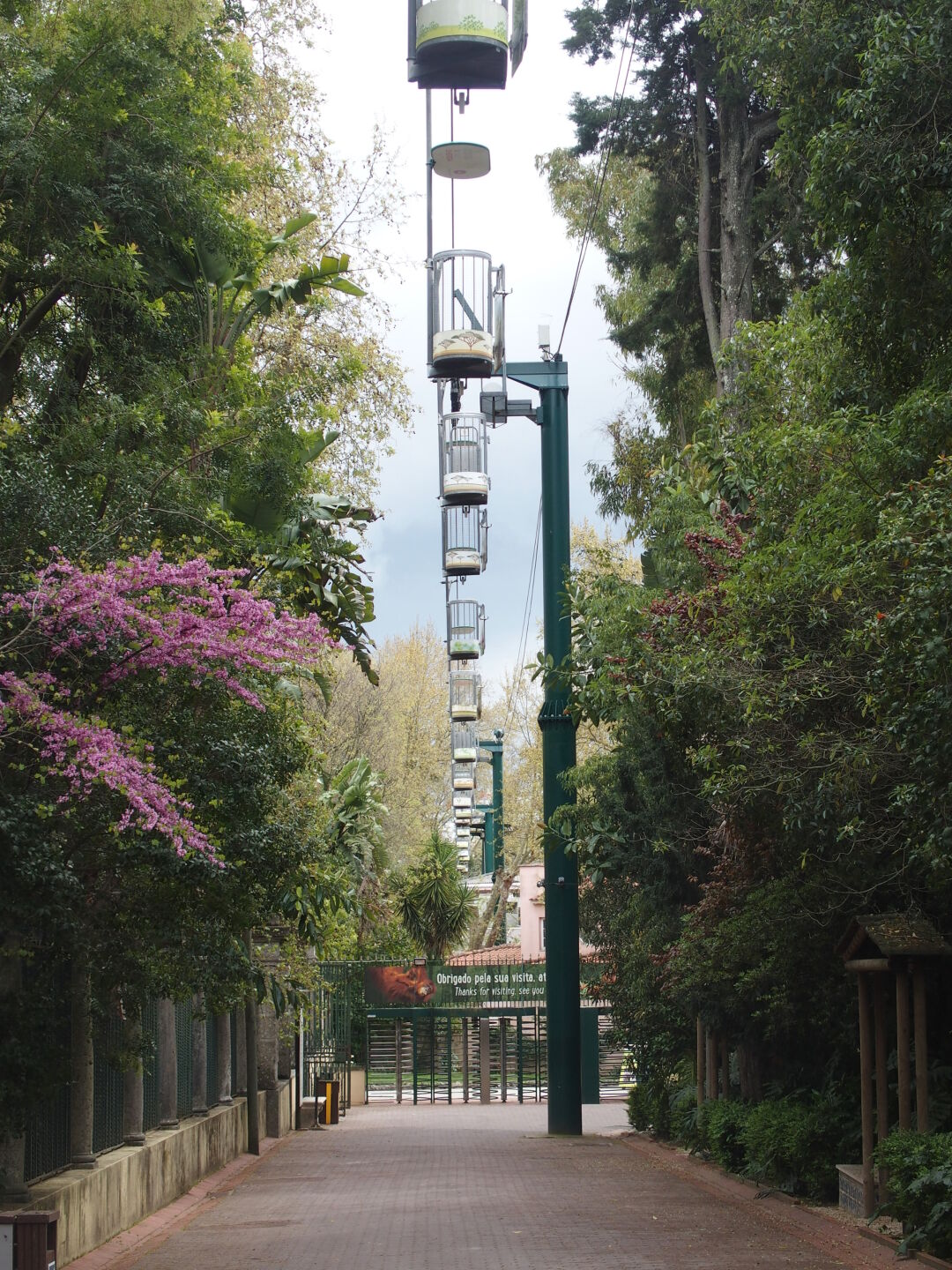 Seilbahn im Zoo &ndash; der eine so, der andere so.