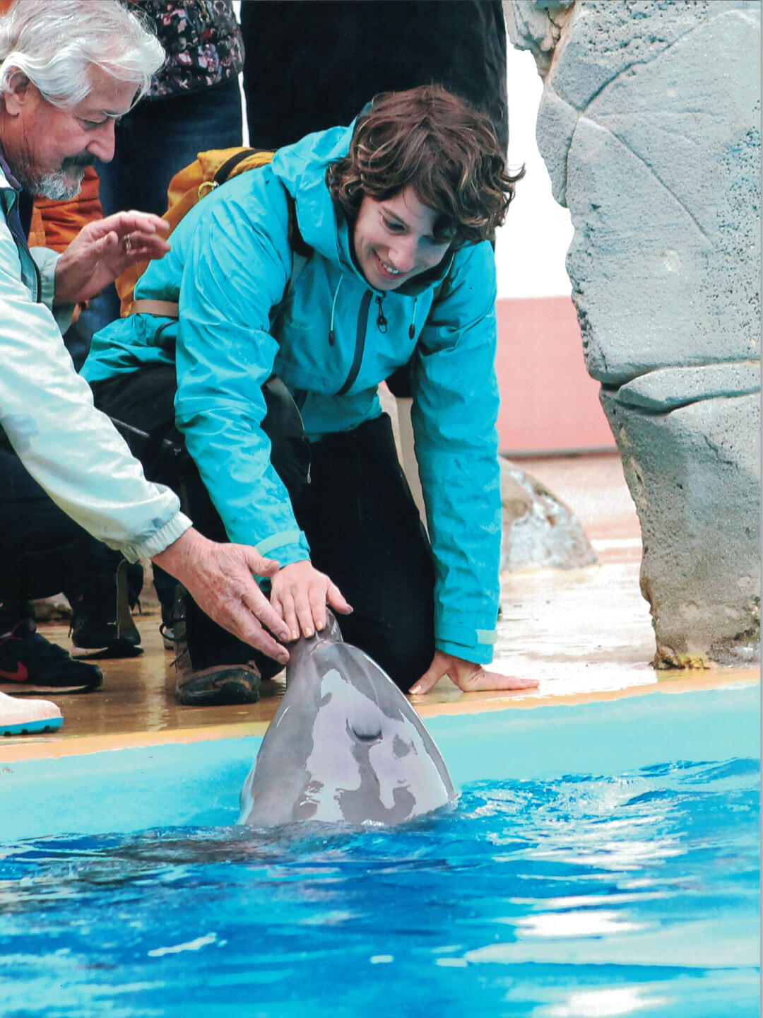 Hinter den Kulissen bei den Delfinen