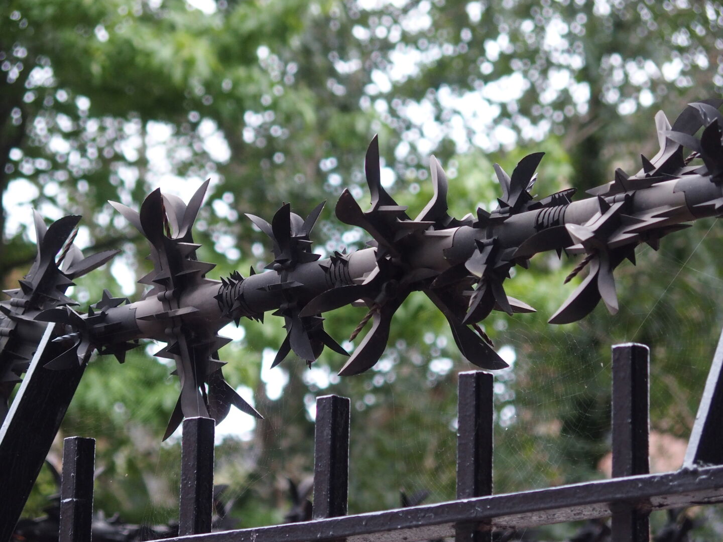 Better not climb this fence.