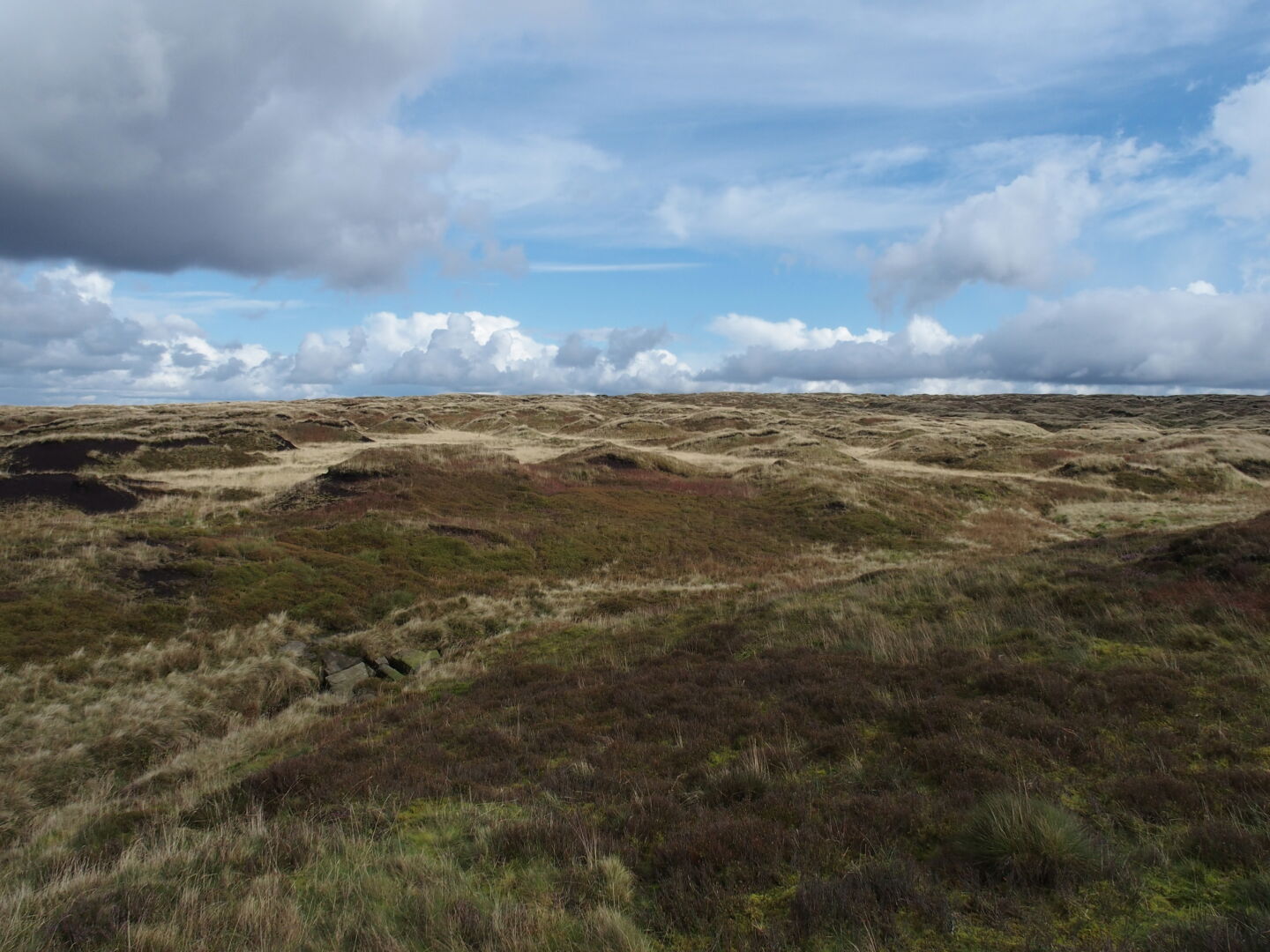 Overlooking the moors.