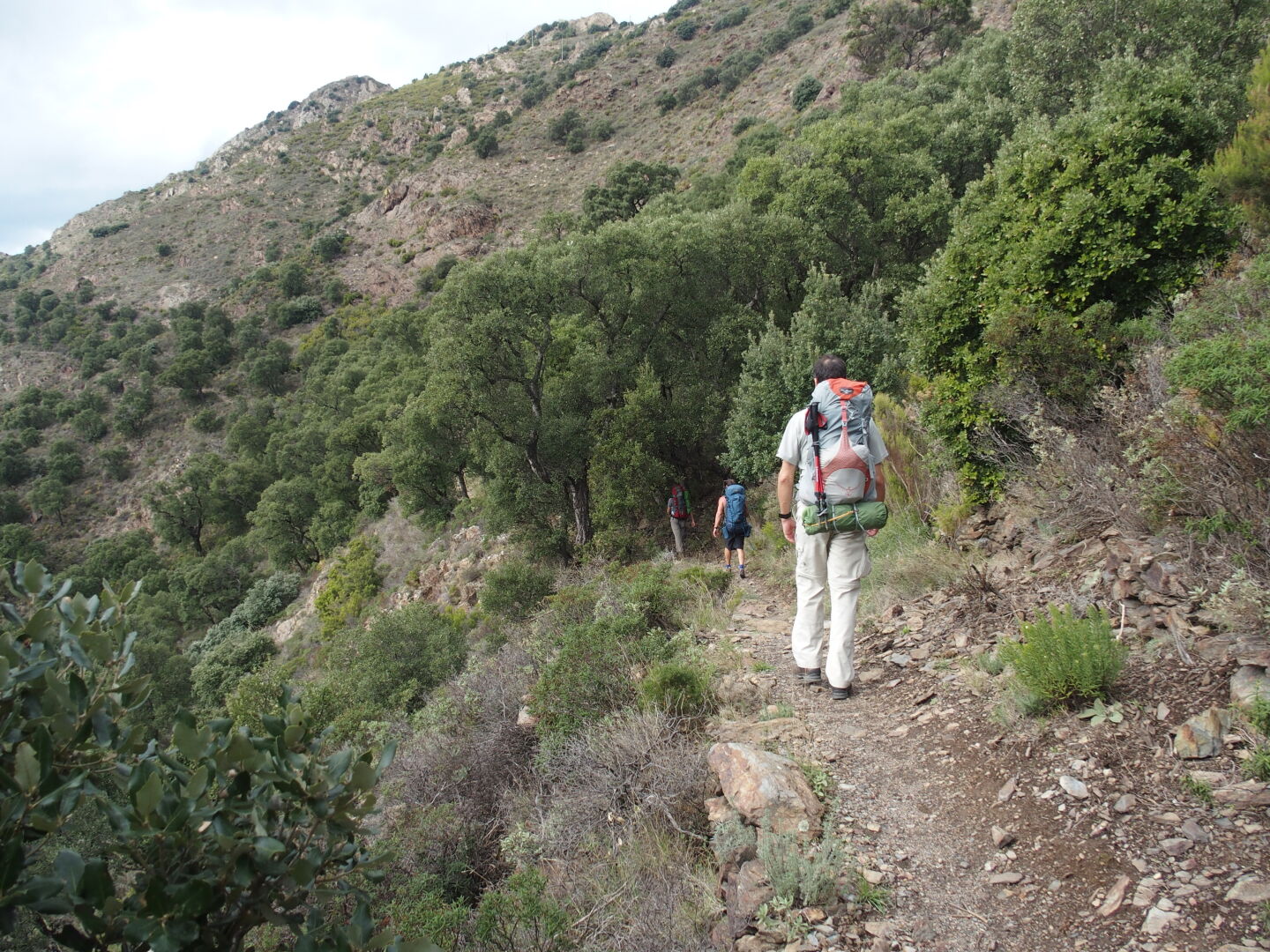 Durch die Weinberge bei Banyuls-sur-Mer. Drittes Foto (c) Felix.