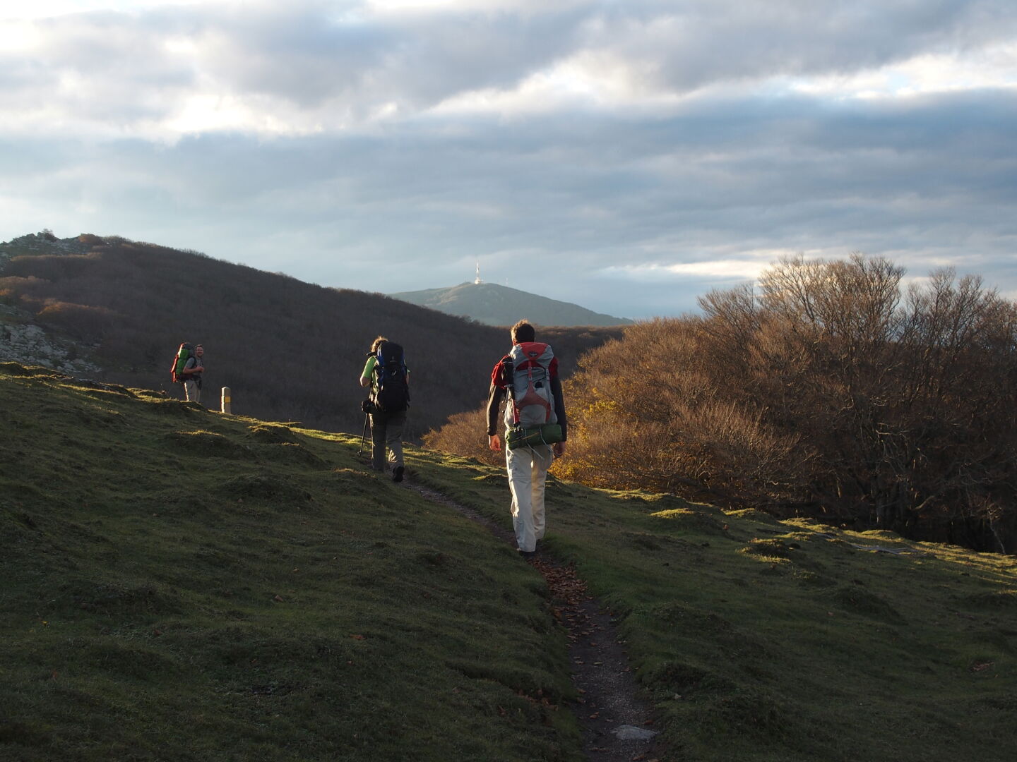Die letzten Kilometer gehen wir im Halbdunkel durch einen urigen Buchenwald. Erstes Foto (c) Vincent.