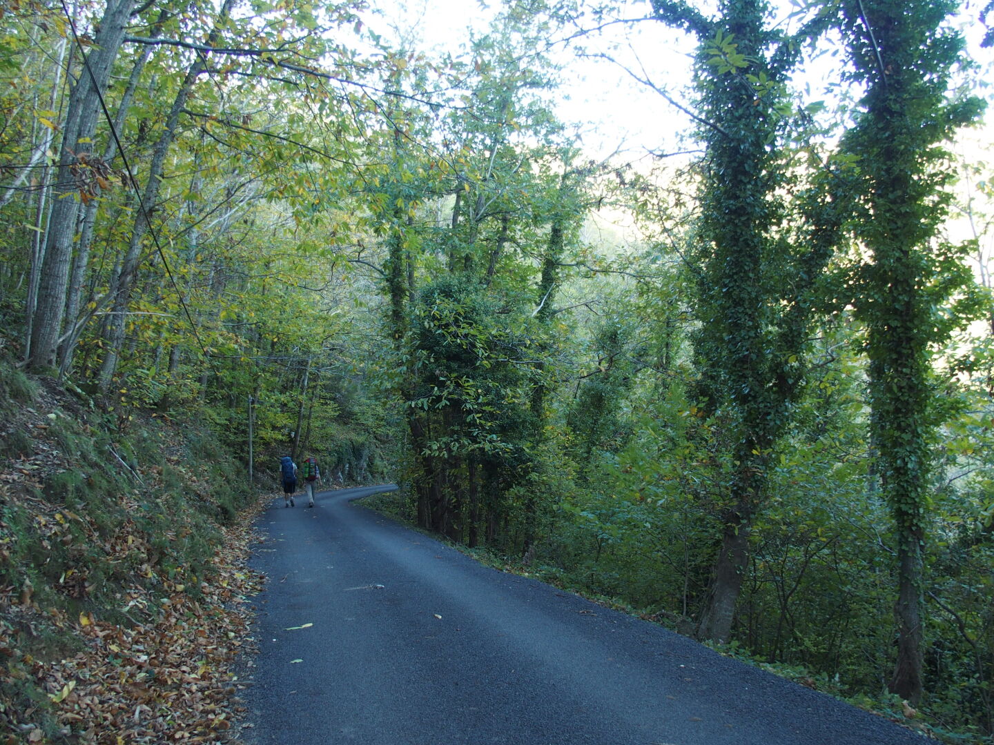 Abstieg nach Las Illas.