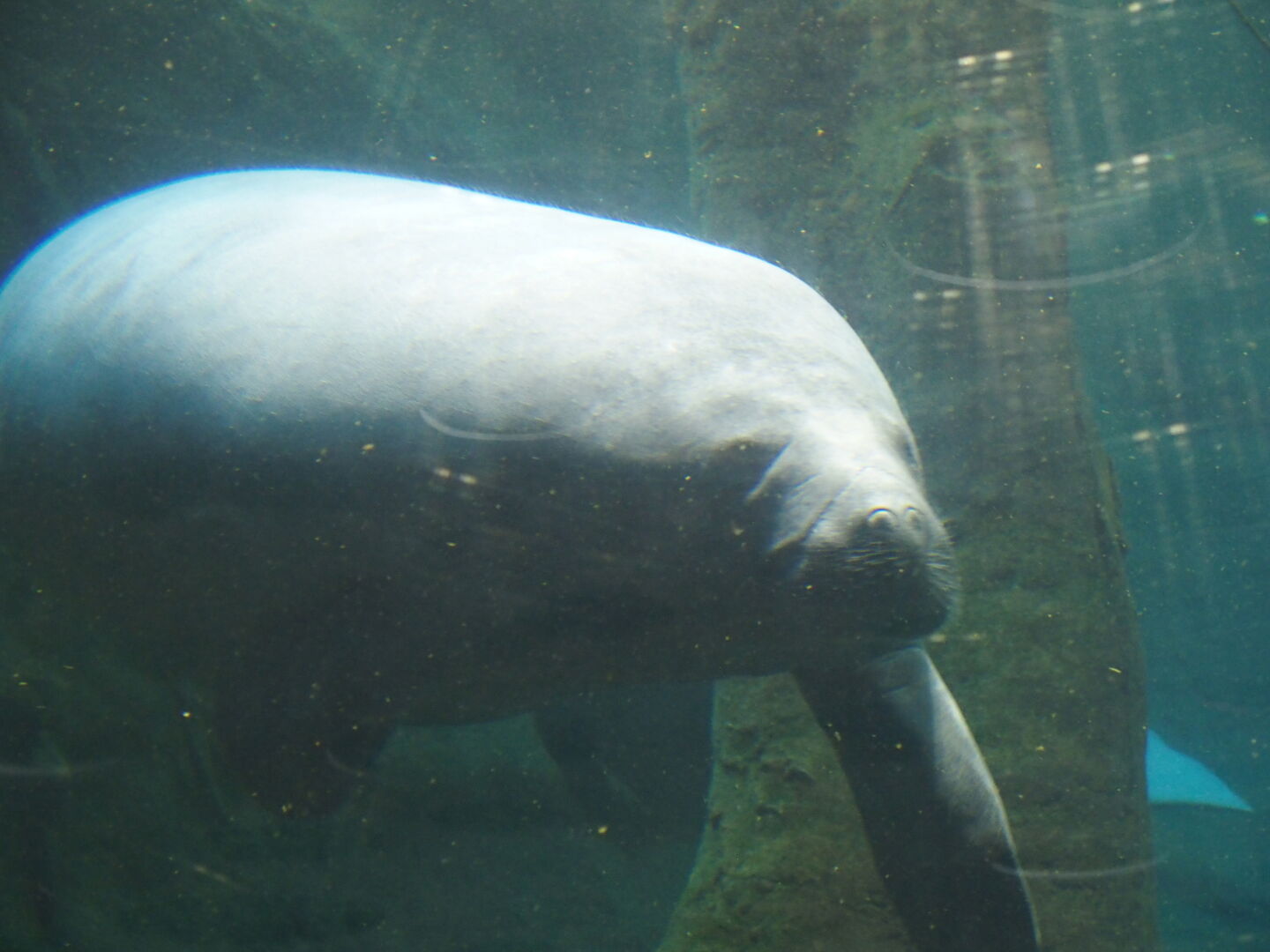 ...oder durch die gro&szlig;en Fenster von der Seite.
