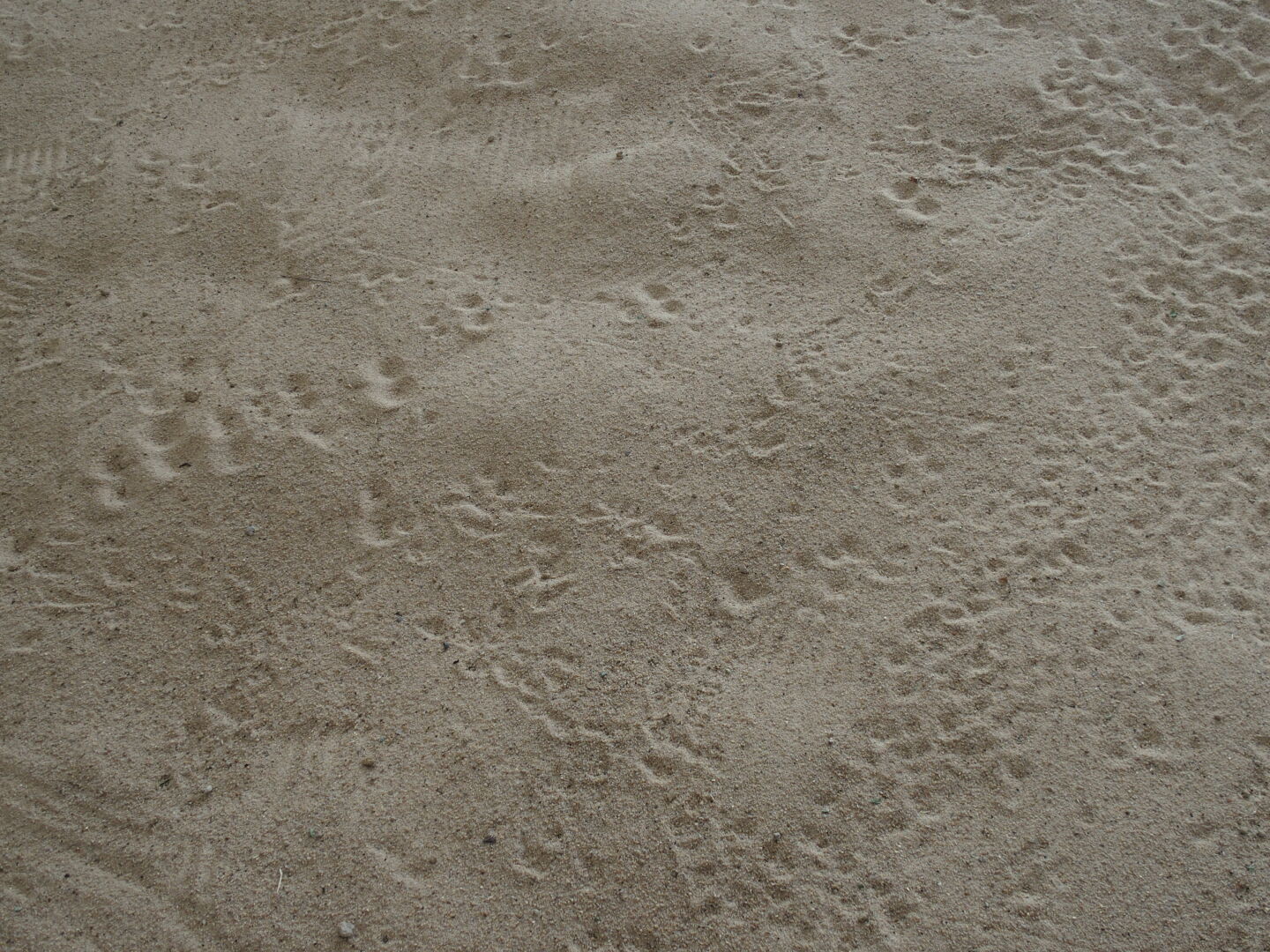 Und offenbar gibt es im W&uuml;stenhaus sehr viel mehr Tiere als man an einem normalen Tag zu sehen bekommt.