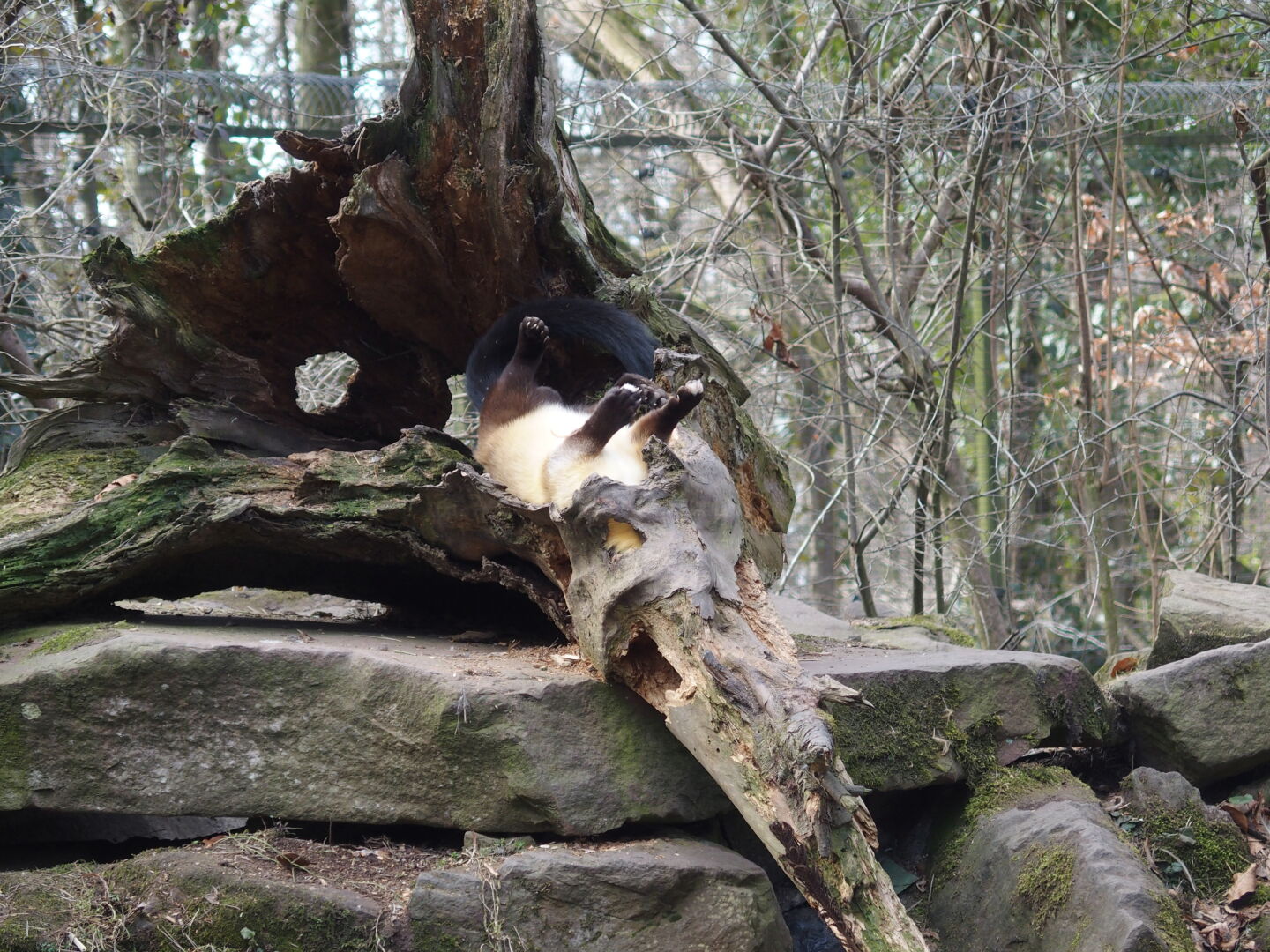 ... und sonst sehen sie so aus.