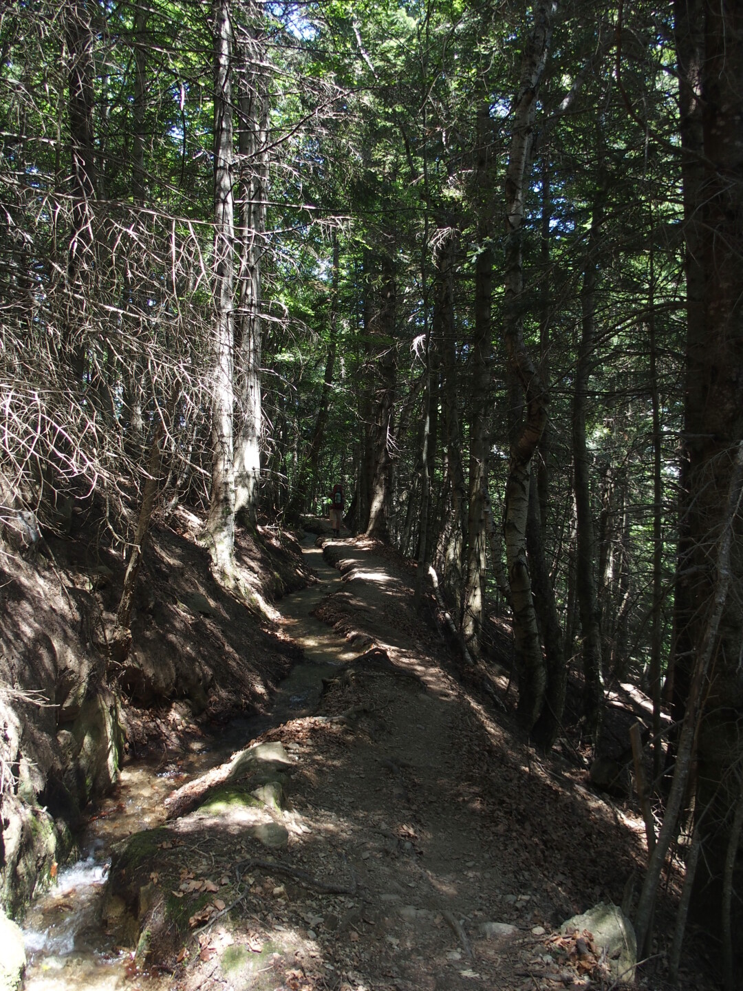 Der kleine Kanal am Wegrand.
