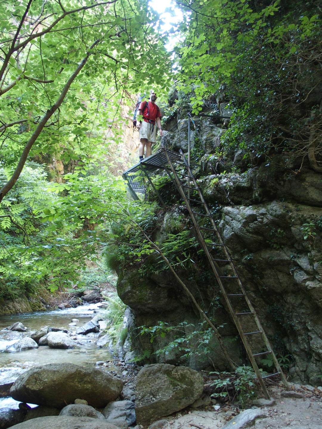 Keine weiteren <i>Paserelles</i>...