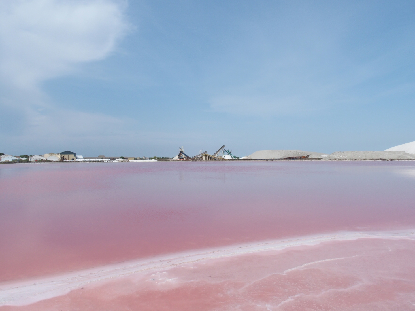 In den Salines von Aigues-Mortes.