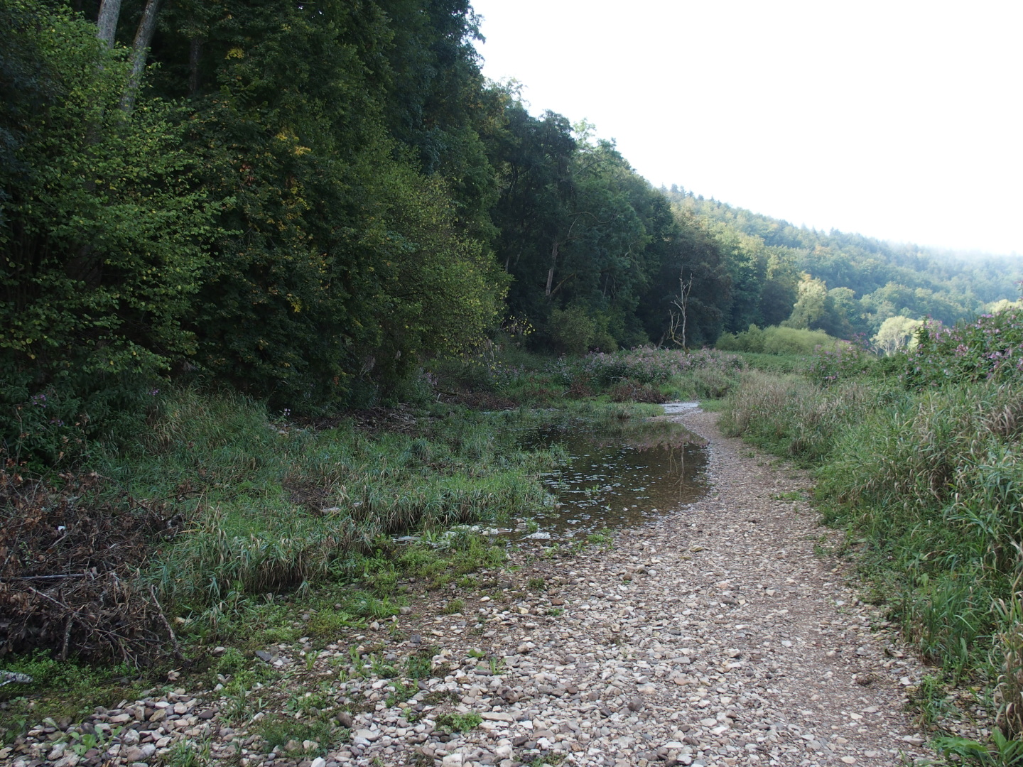 Donauversickerung. Weg isse.