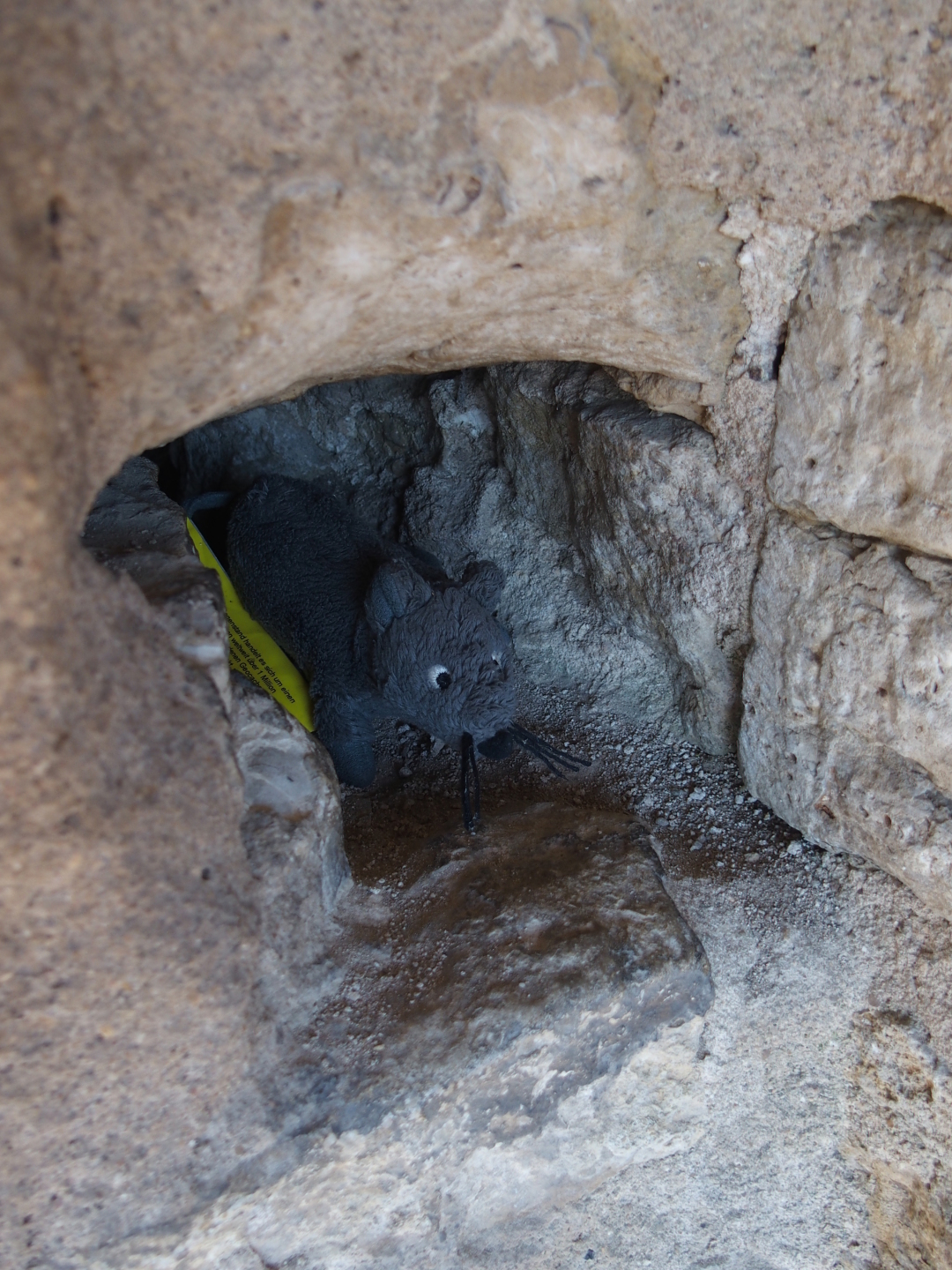 Geocache-Maus im Wehrgang von Rothenburg.