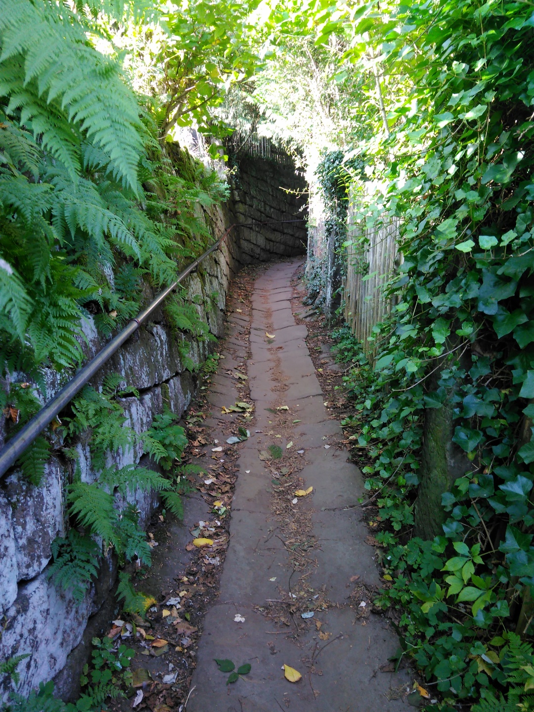 Der Aufstieg ist steil, aber idyllisch.