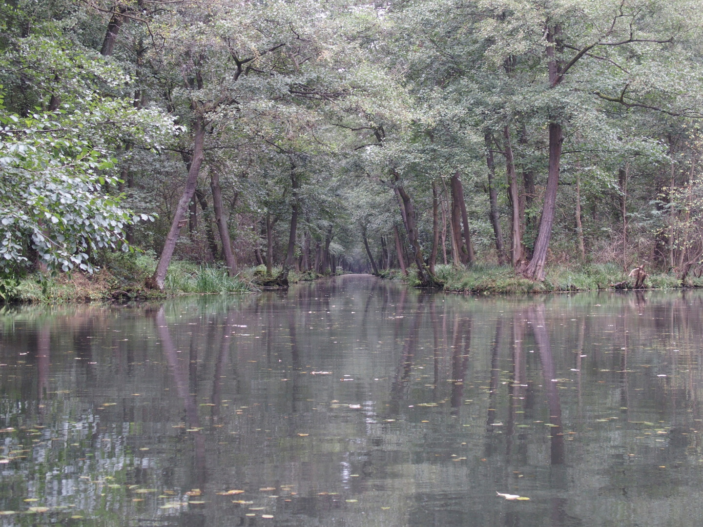 Auf dem Weg nach Leipe.
