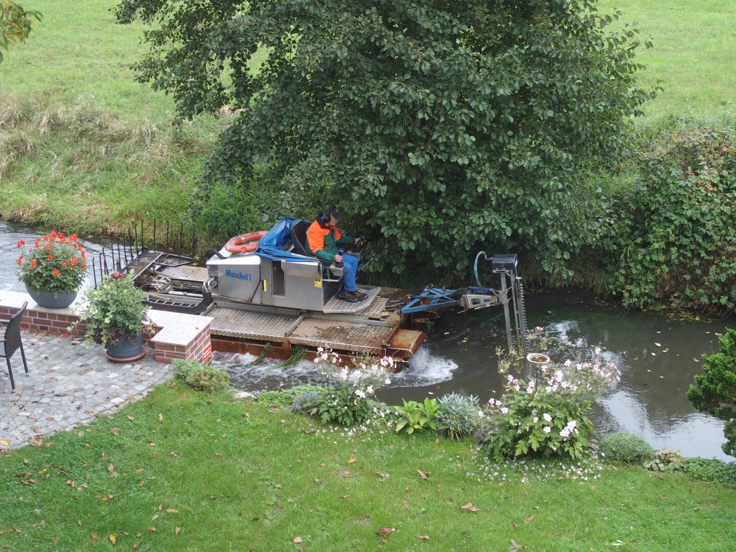 Die Muschel 1 tuckert an der Pension vorbei und beschneidet die Wasserpflanzen.