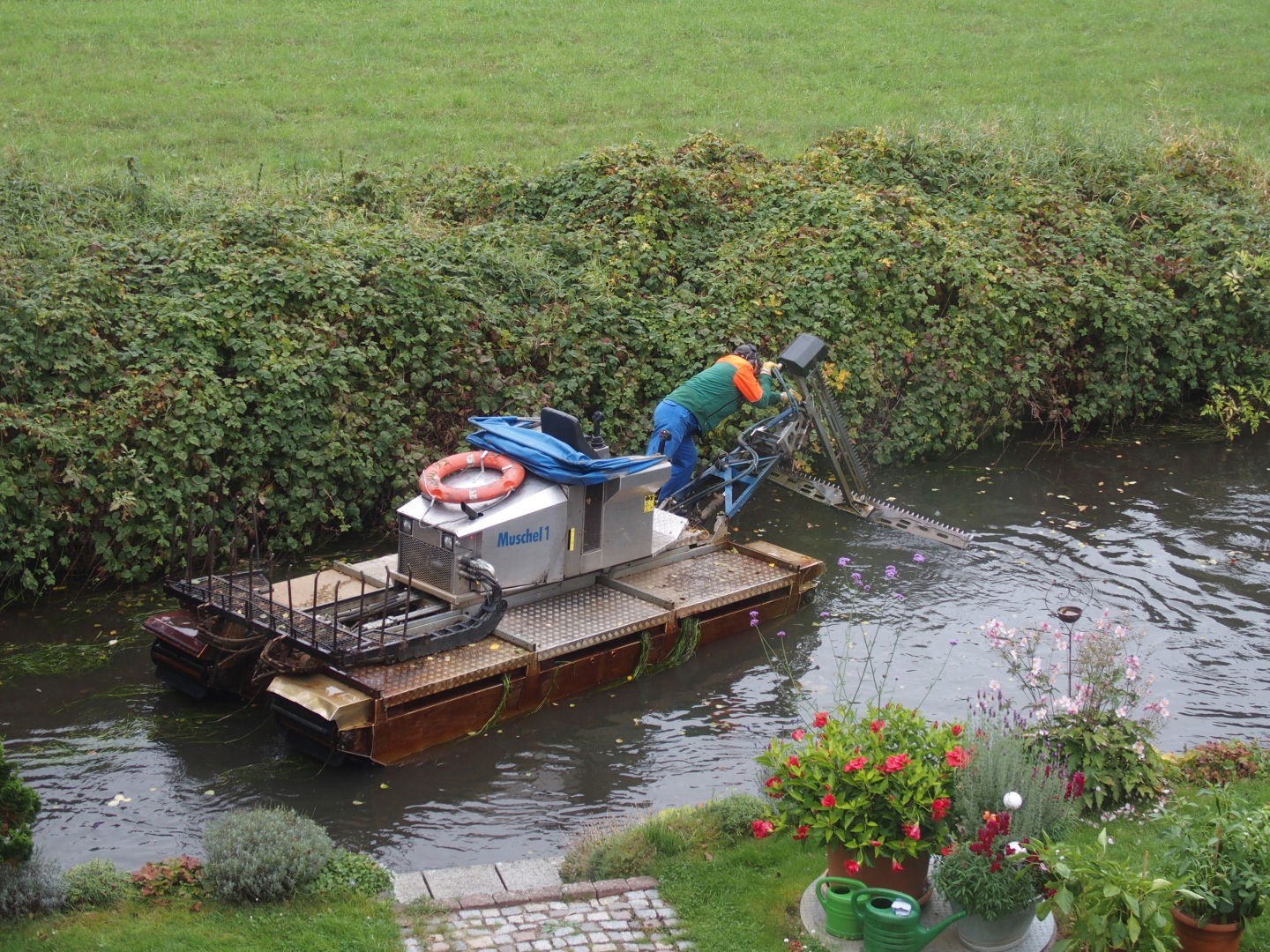 Die Muschel 1 tuckert an der Pension vorbei und beschneidet die Wasserpflanzen.