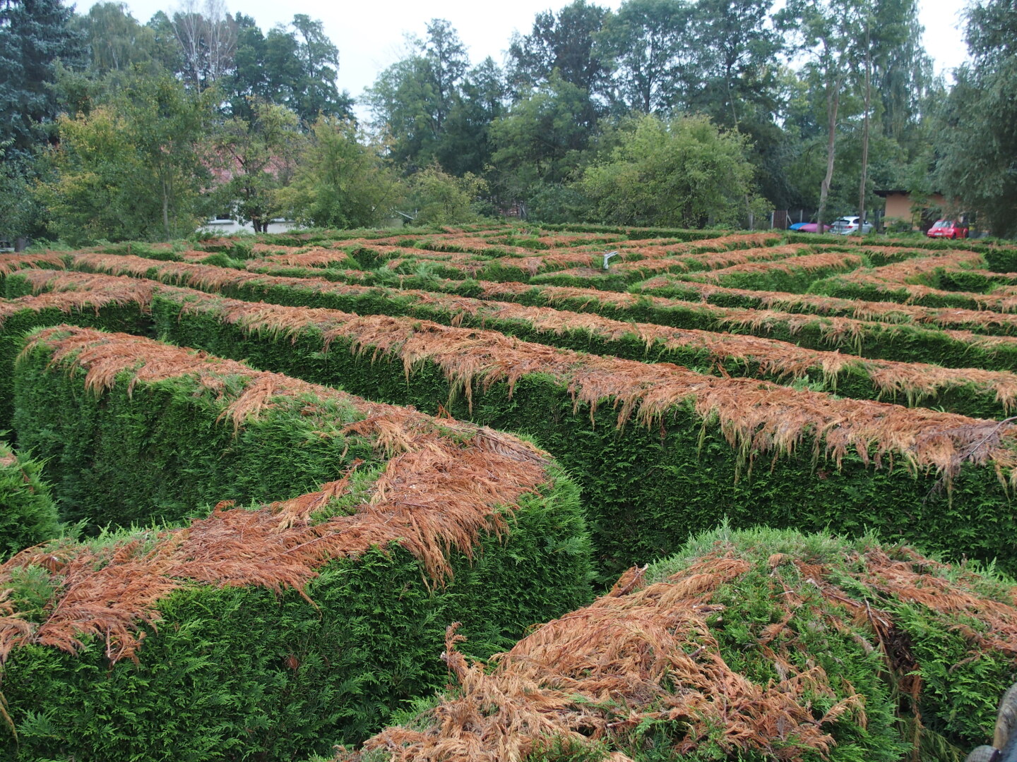 Geschafft! Ausblick von der Plattform.