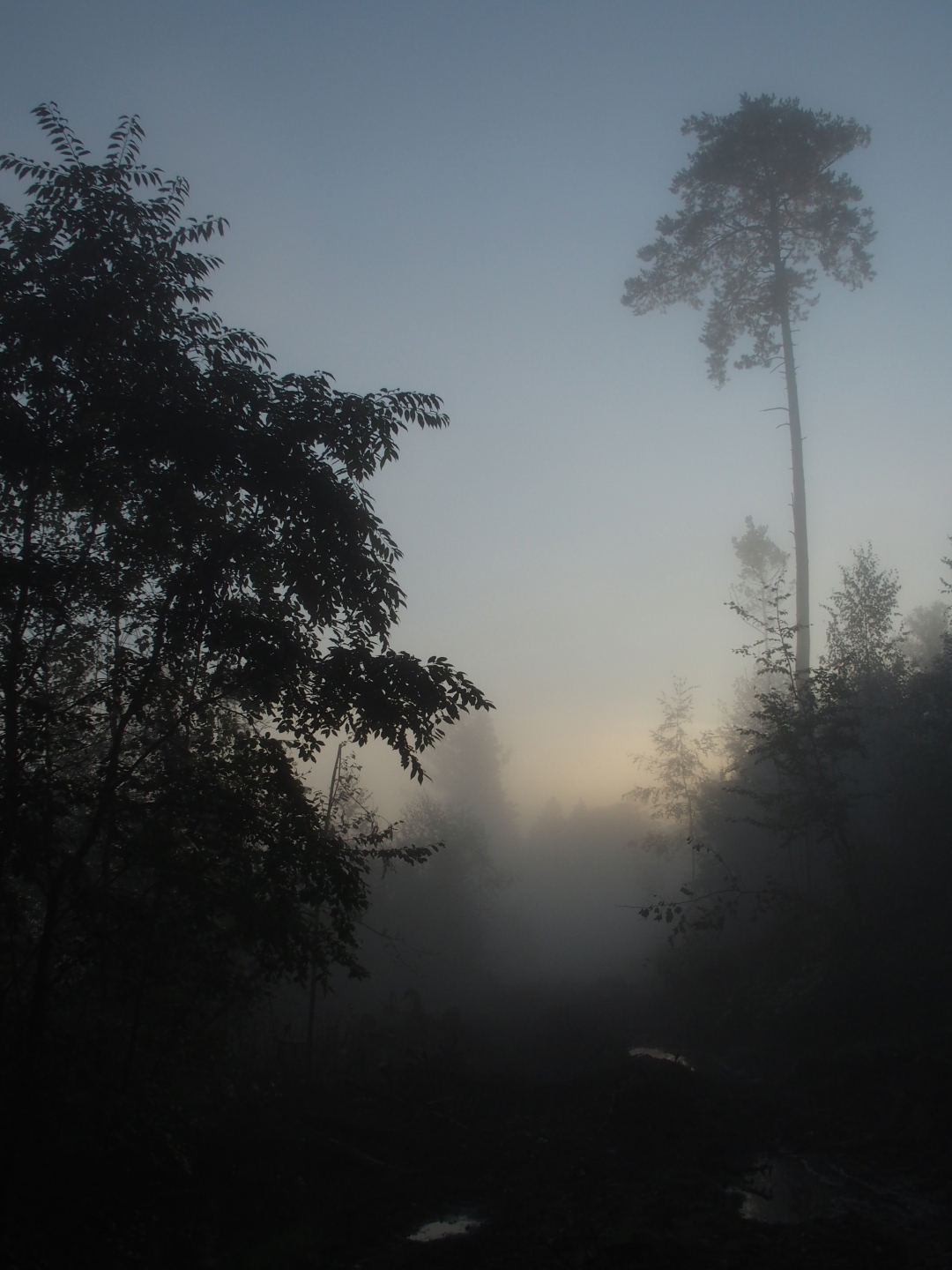 Caspar David Friedrich hätte seine Freude daran gehabt.