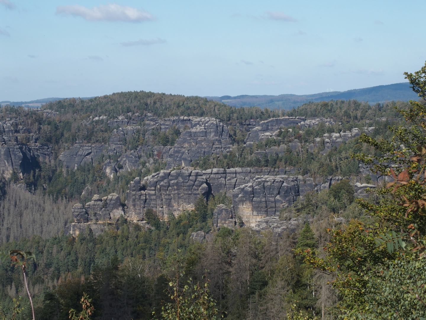 Elbsandstein. Licht und Schattenspiel im Buchenwald. Die Schrammsteine.