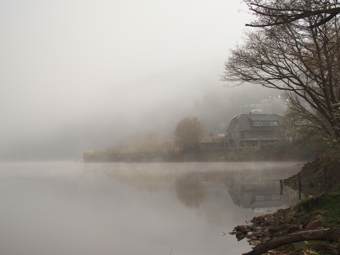 Morgennebel am Obersee.