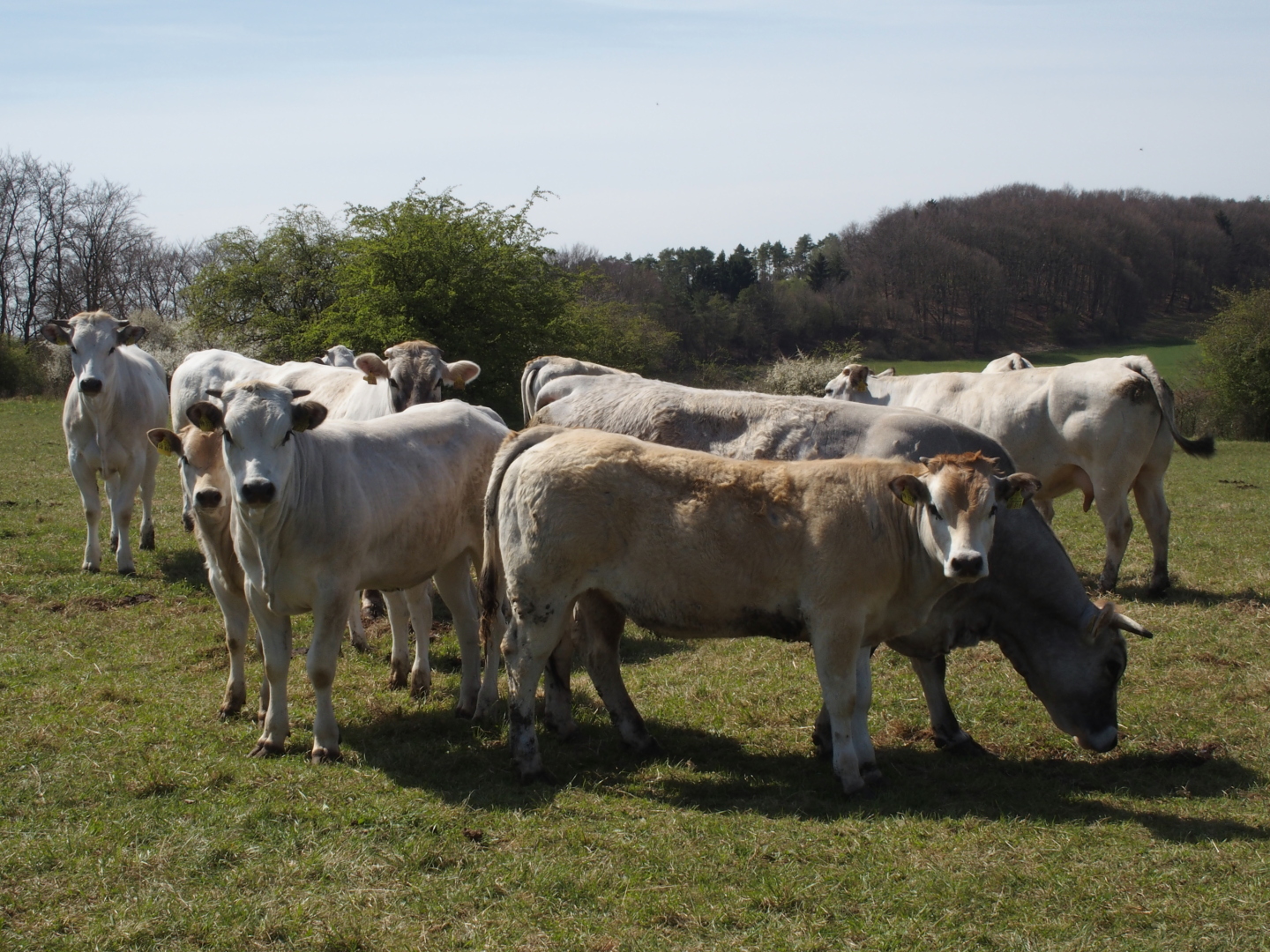 Zuschauer bei der Mittagspause.