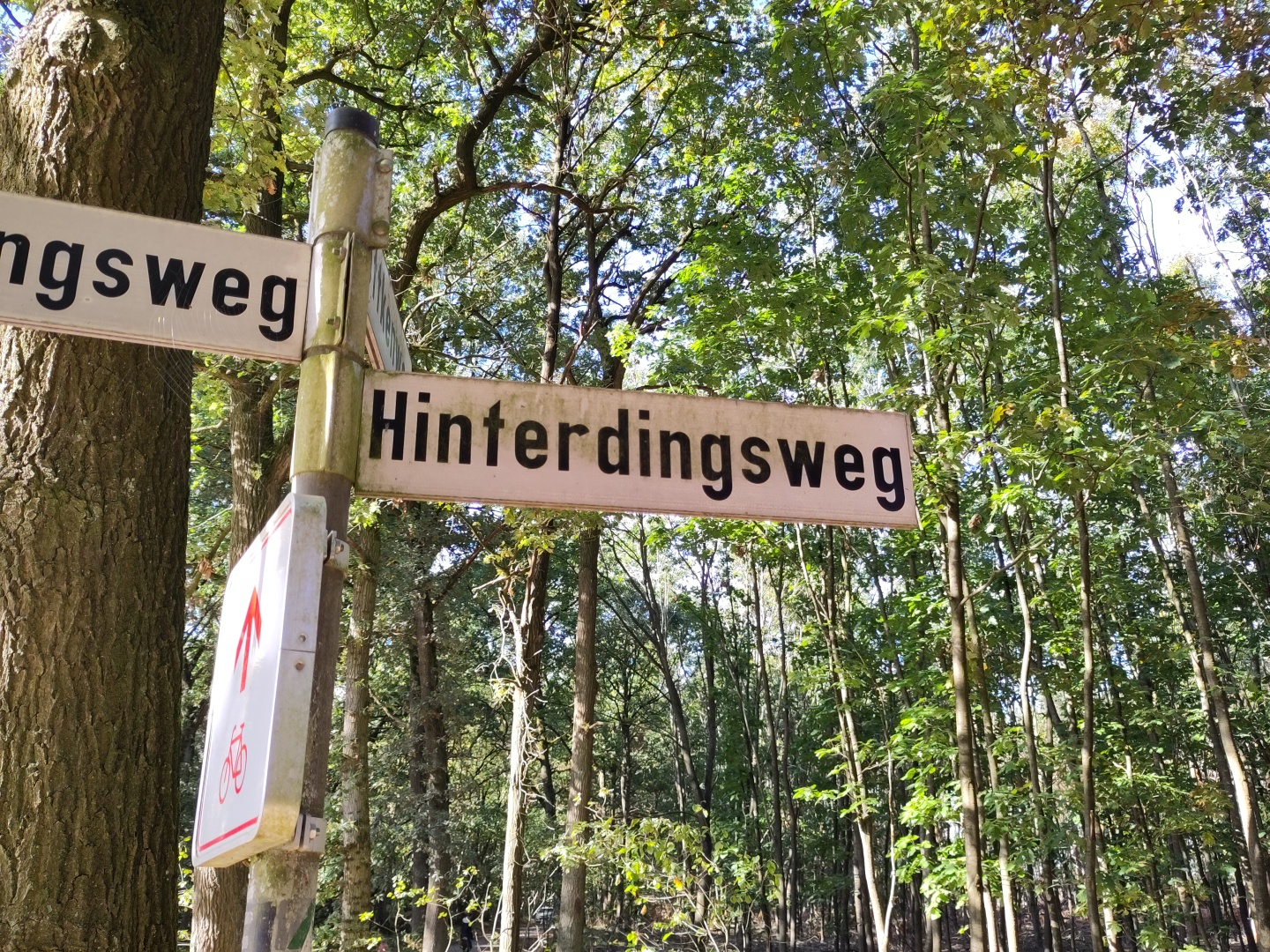 Am Hinterdingsweg machen wir Pause.