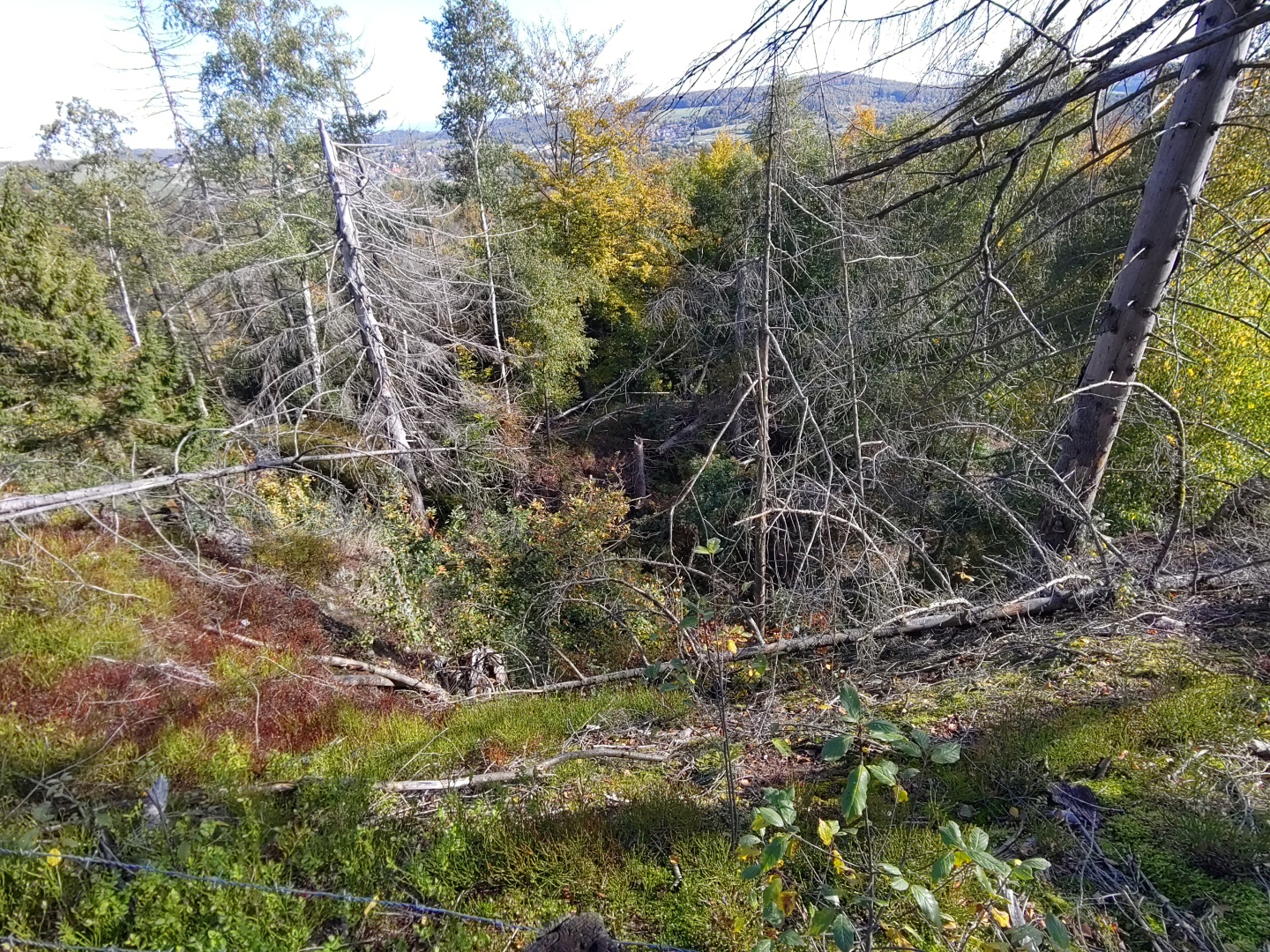 Blick in Teufels Küche.