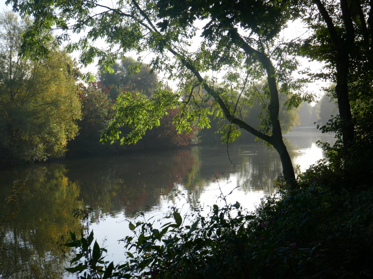 Morgenstimmung an der Ems.